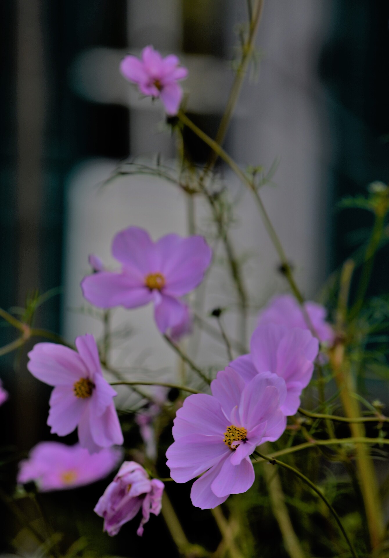 im garten 9