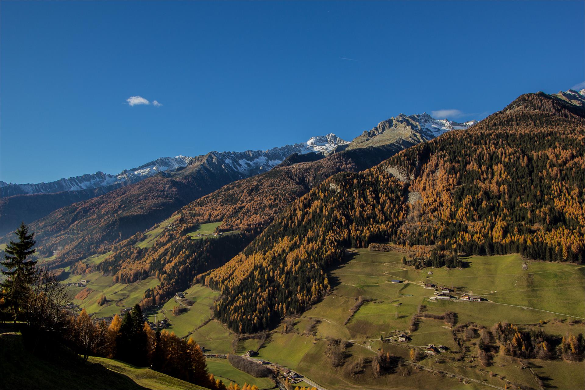 Innertrein App. Ahrntal 6 suedtirol.info
