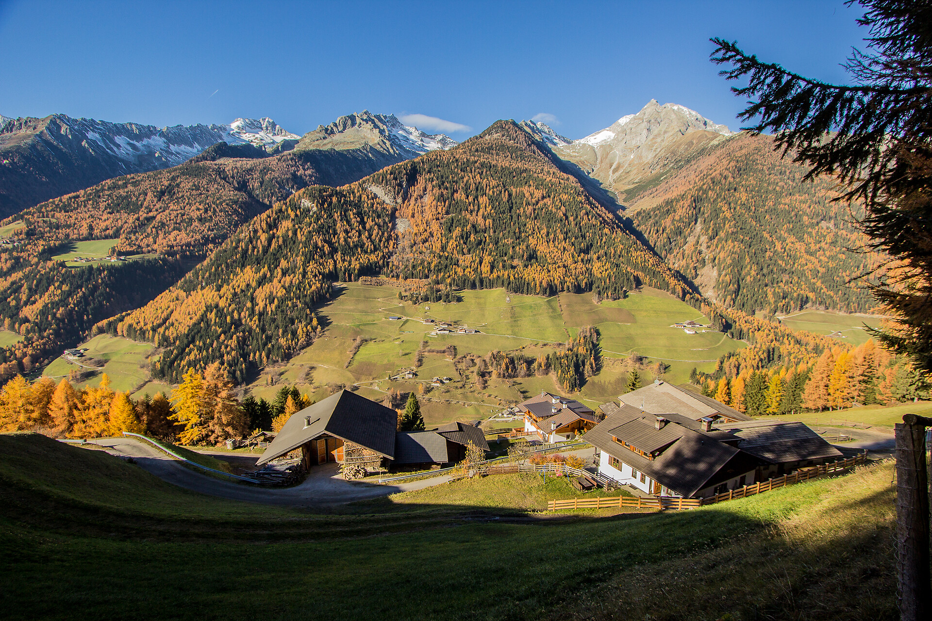 Urlaub auf dem Bergbauernhof: Innertrein