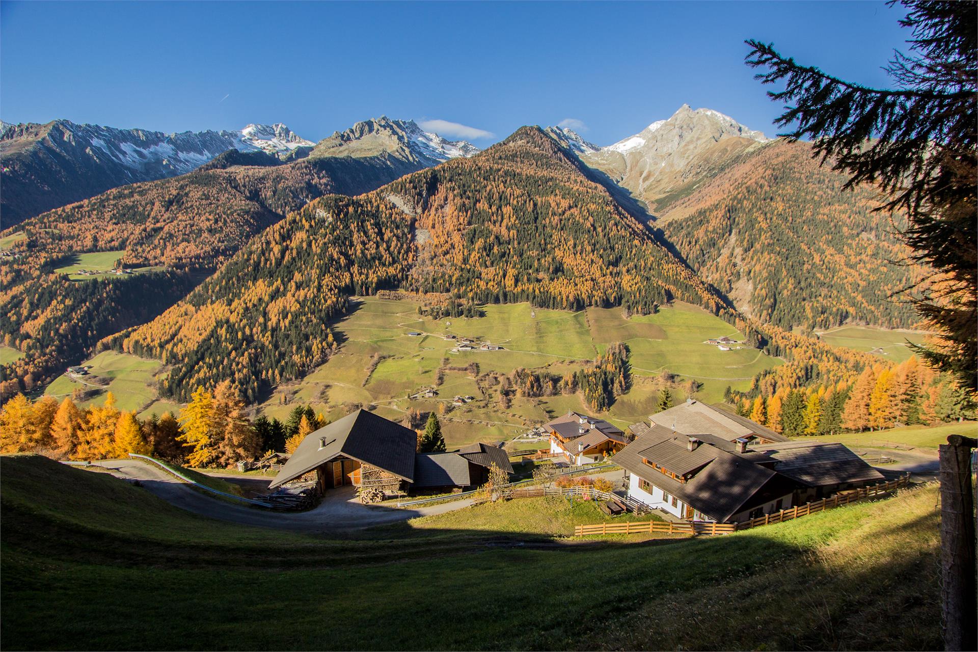 Innertrein App. Ahrntal 2 suedtirol.info