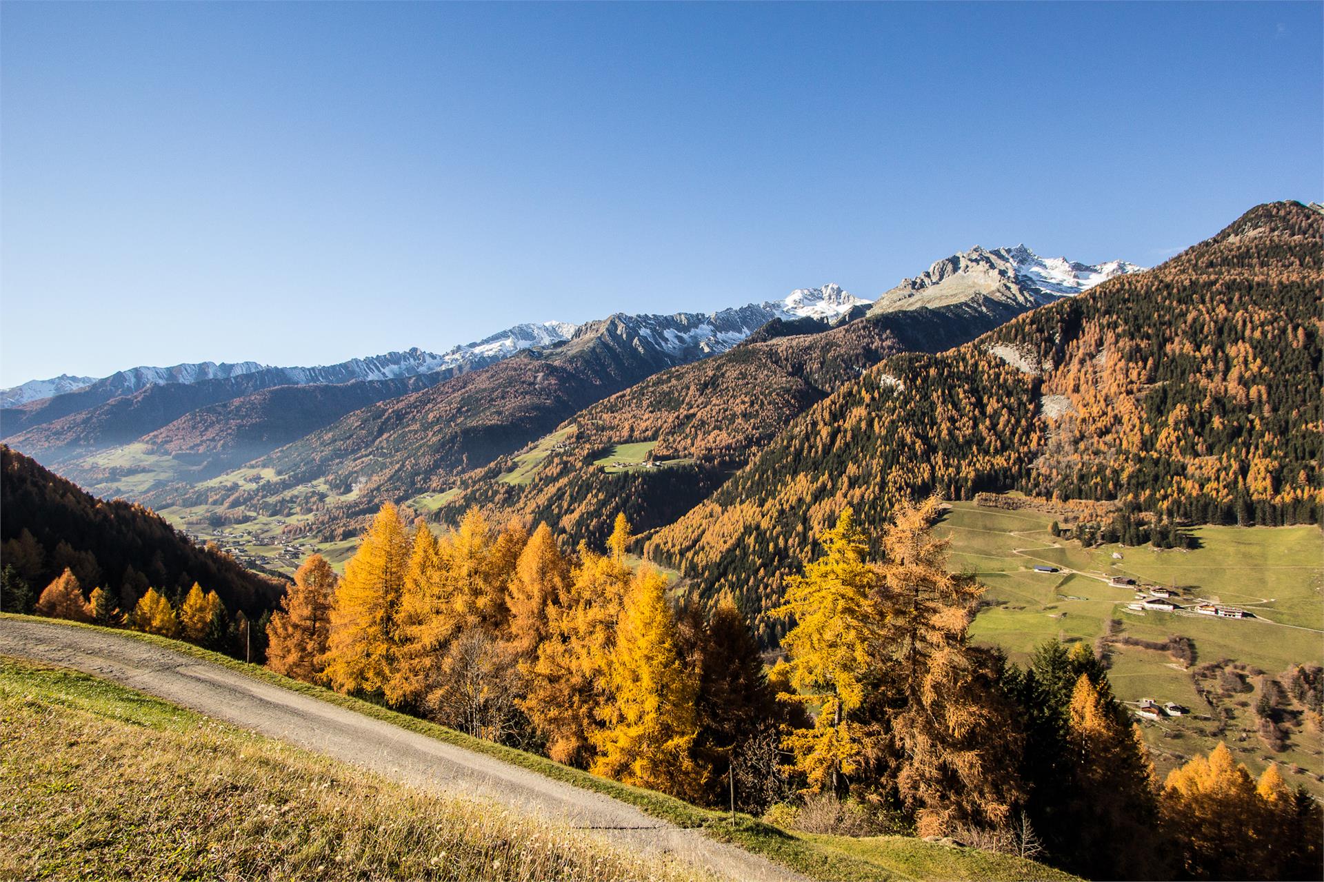 Innertrein App. Ahrntal 4 suedtirol.info