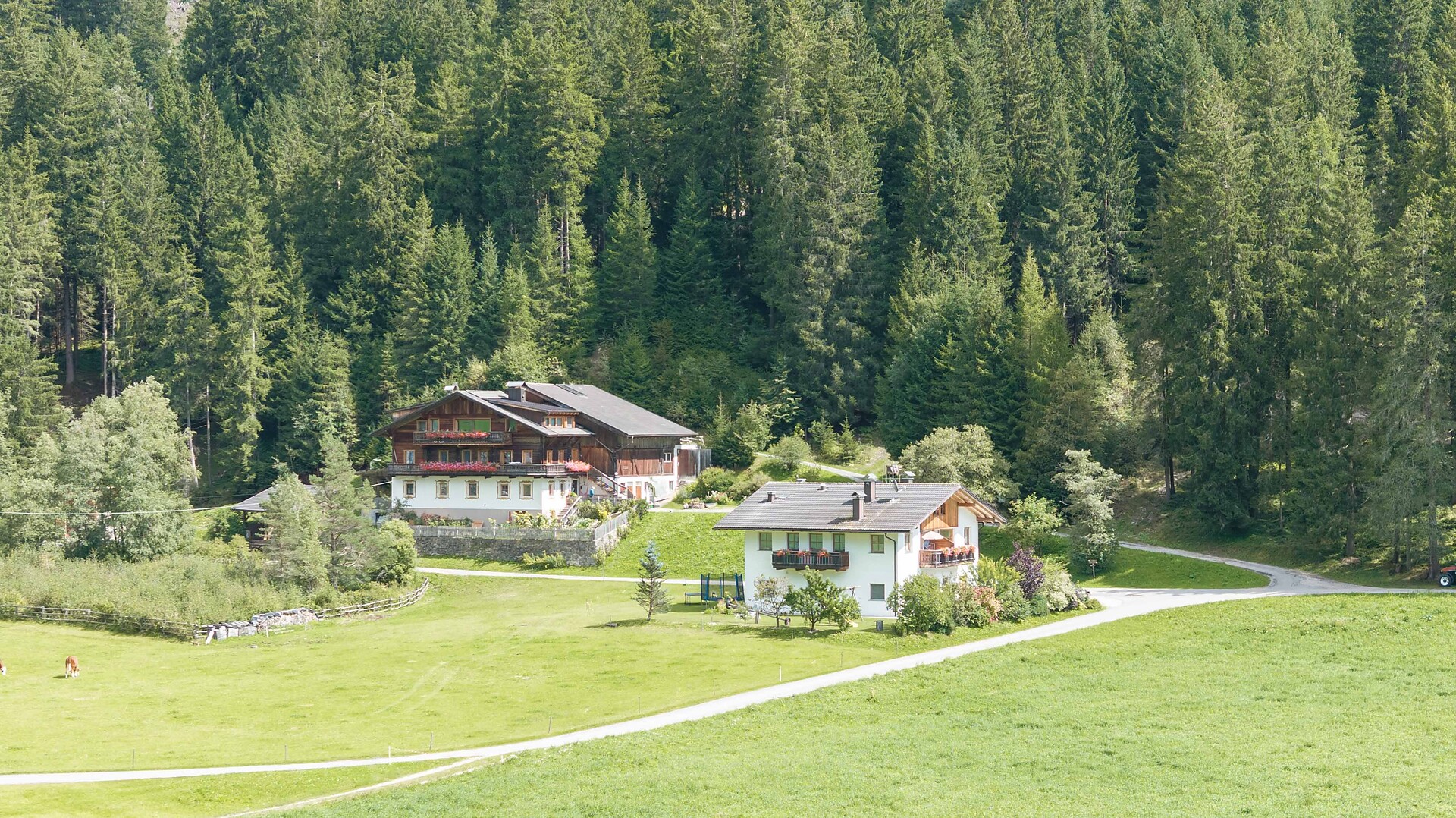 Innerkohlerhof -  - #2 - suedtirol.info