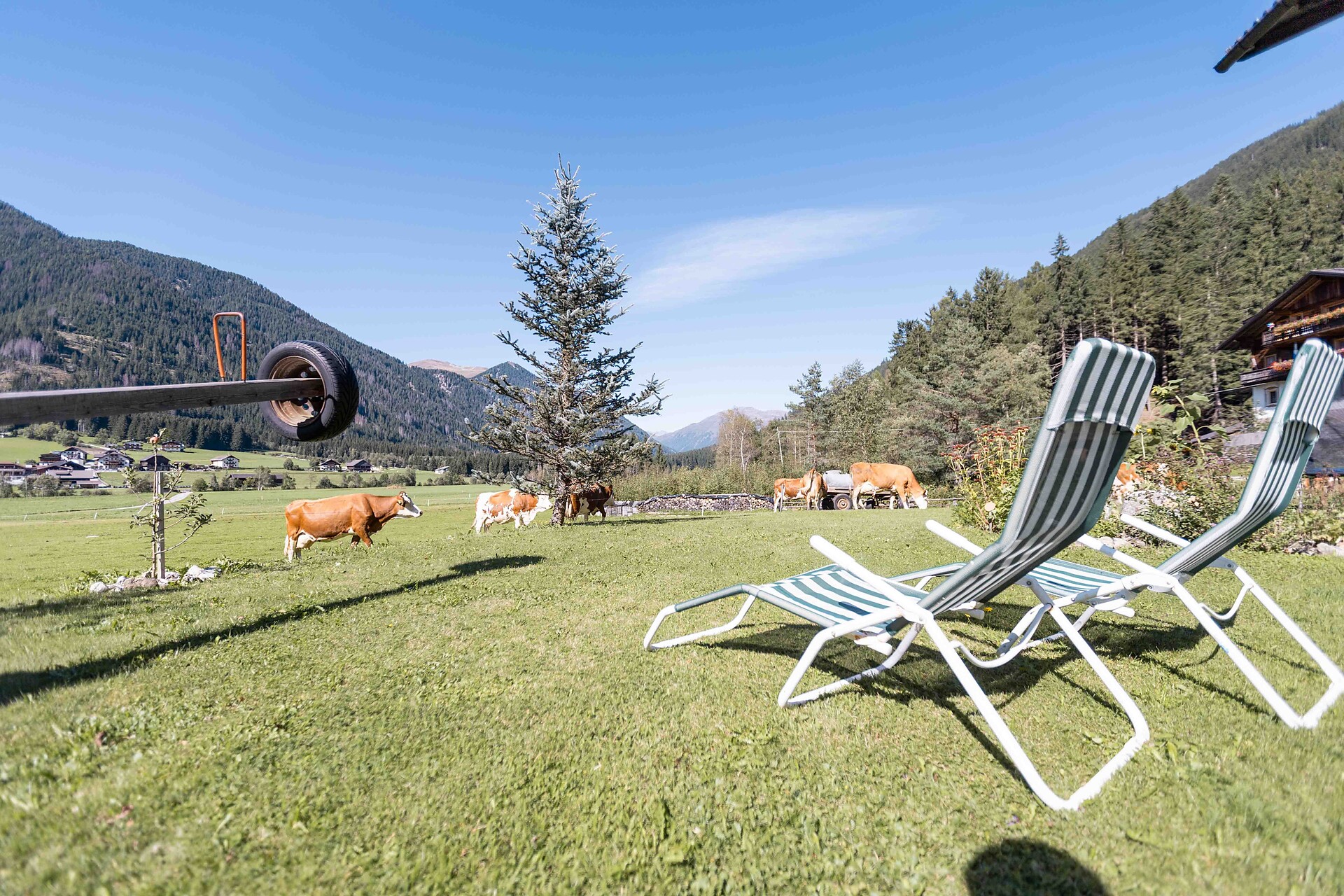 Innerkohlerhof -  - #6 - suedtirol.info