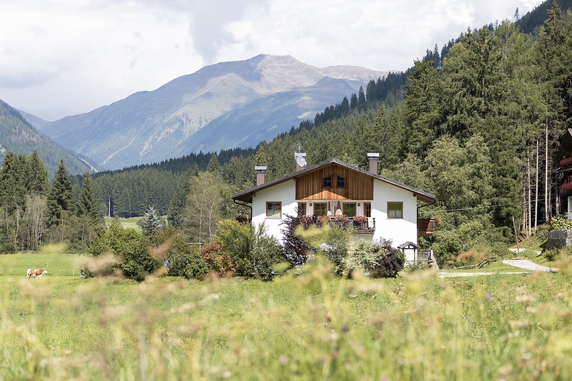 Innerkohlerhof -  - #3 - suedtirol.info