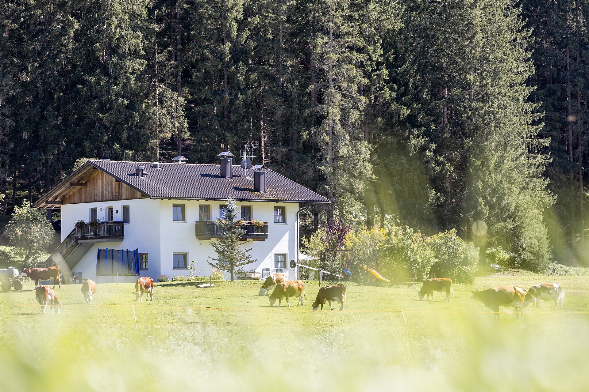 Innerkohlerhof -  - #9 - suedtirol.info