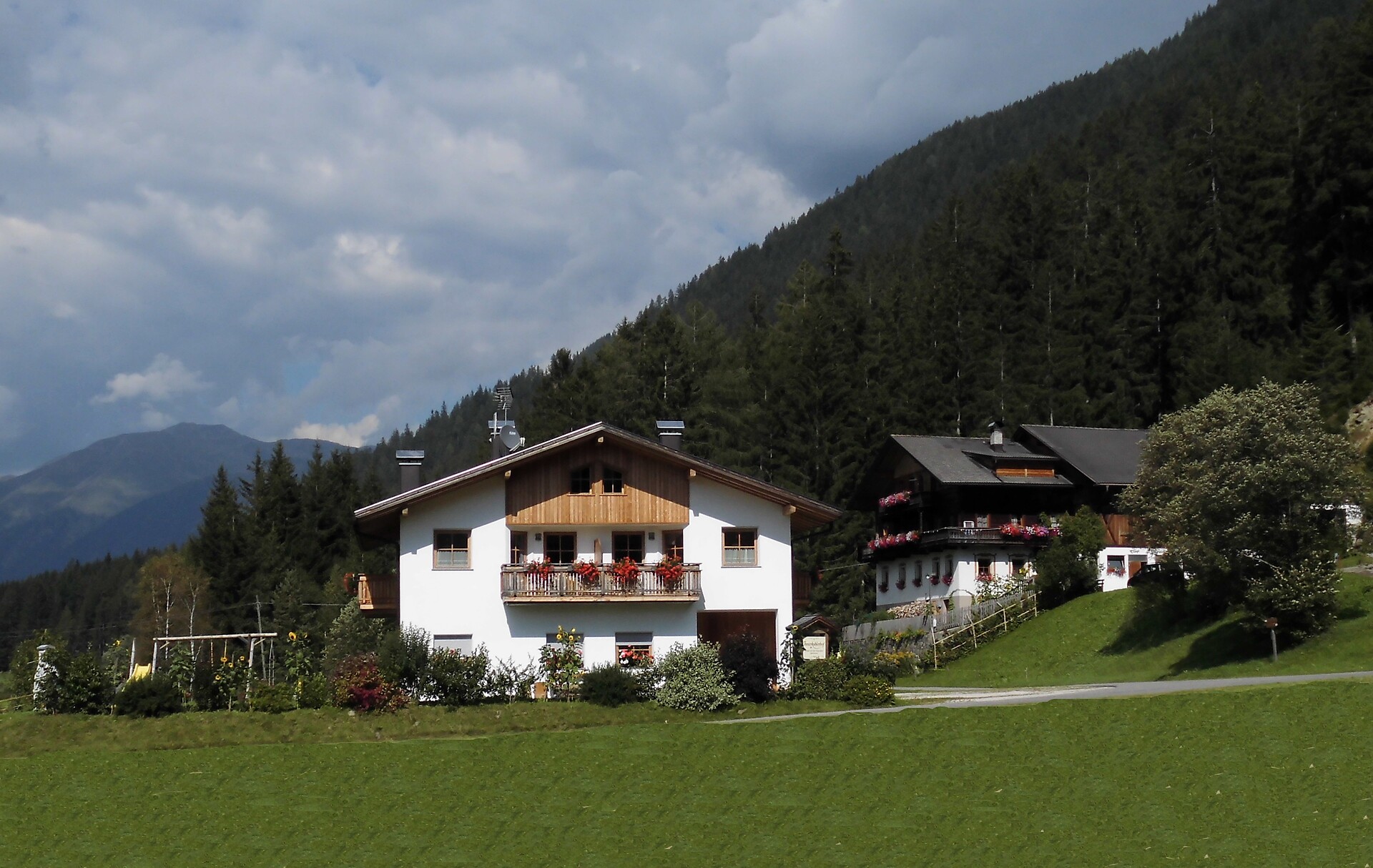 Online Galerie