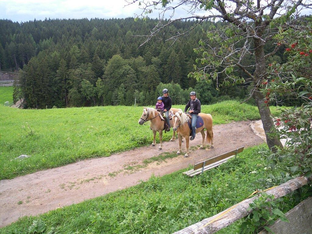 Riding lessons