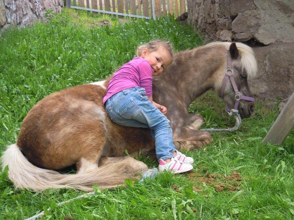 For the little ones there are the Ponies