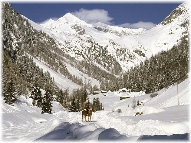 Innerbachhof Valle Aurina 3 suedtirol.info