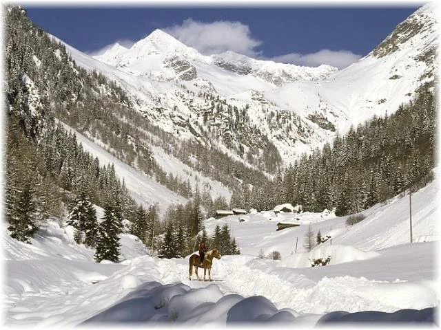 Innerbachhof Valle Aurina 3 suedtirol.info