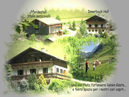 Innerbachhof Ahrntal/Valle Aurina 2 suedtirol.info