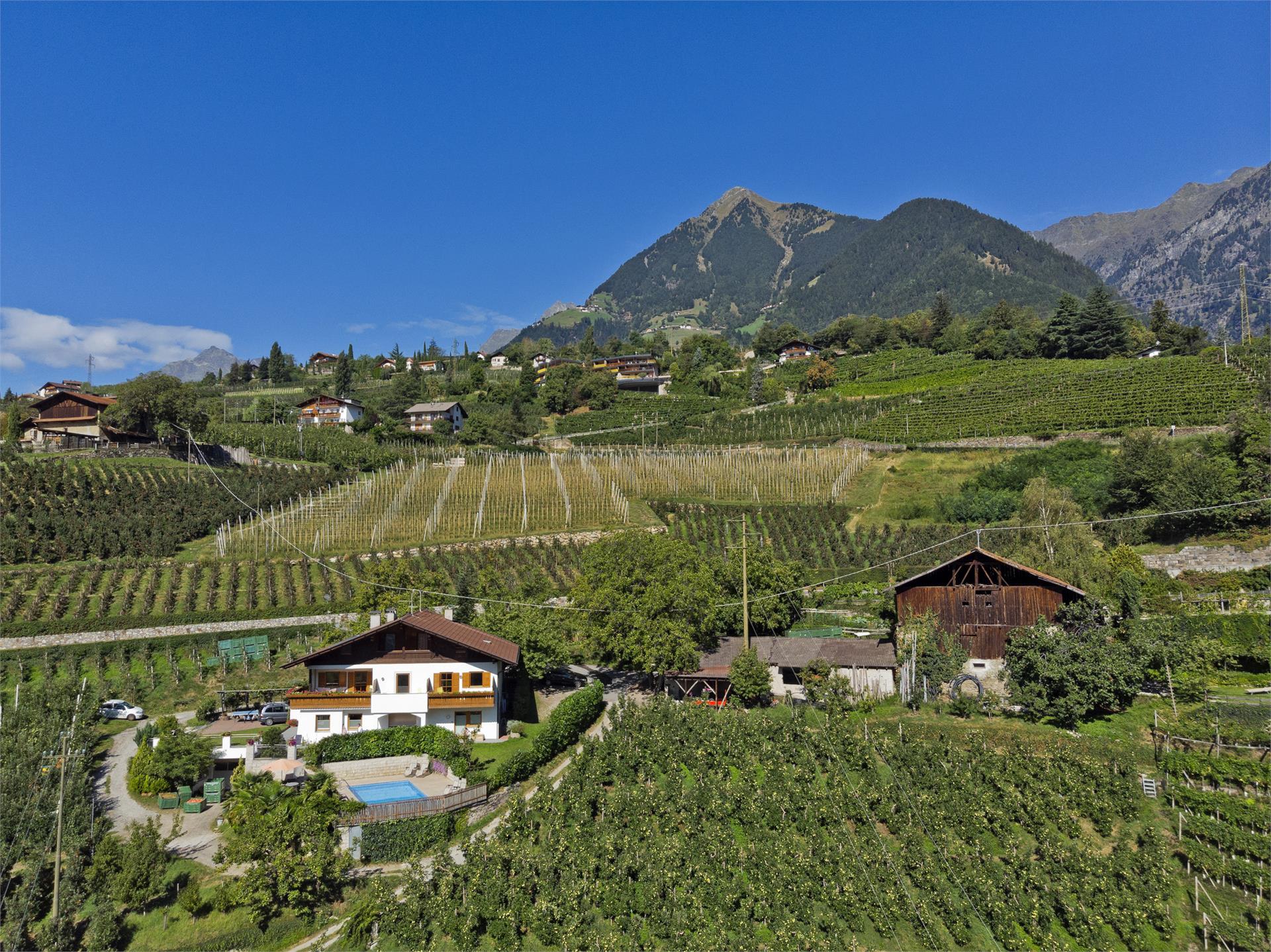 Innermelaunhof Tirol 4 suedtirol.info