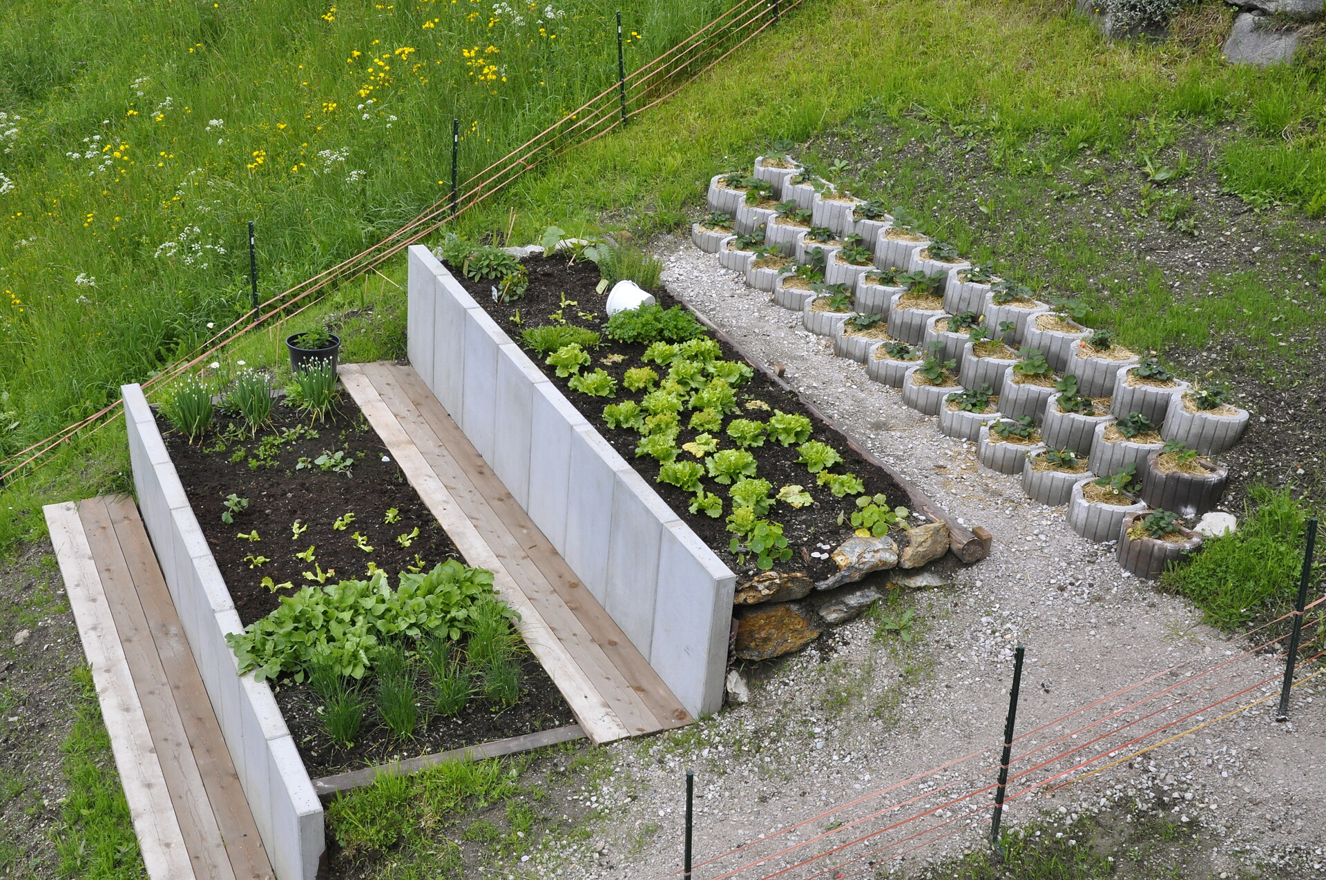 Hausgarten