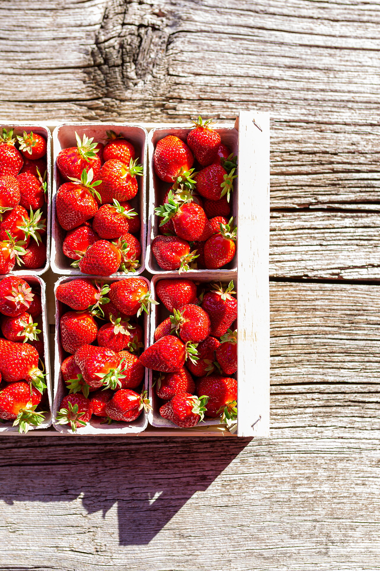 Fresh Strawberries