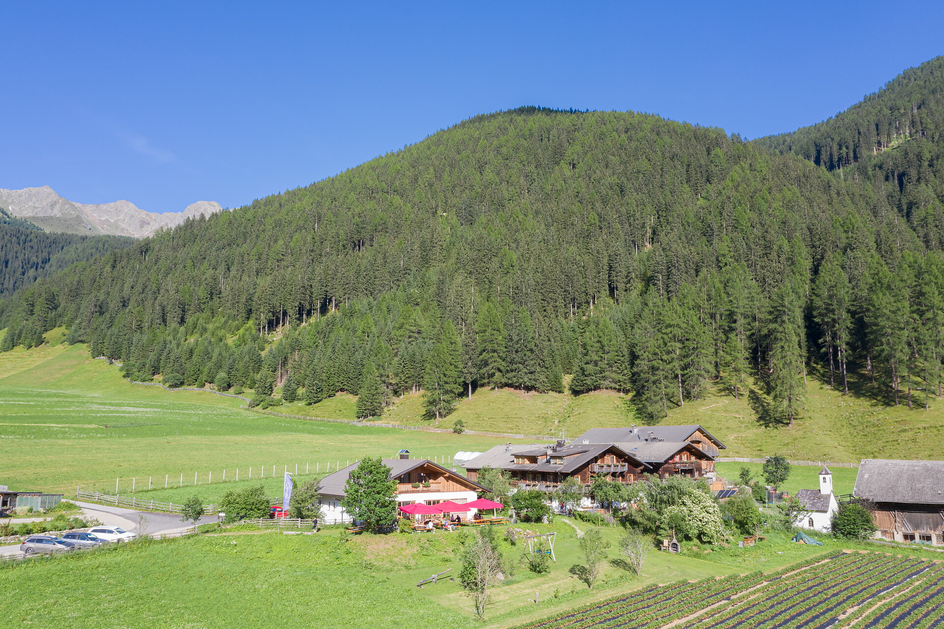 Jelerhof