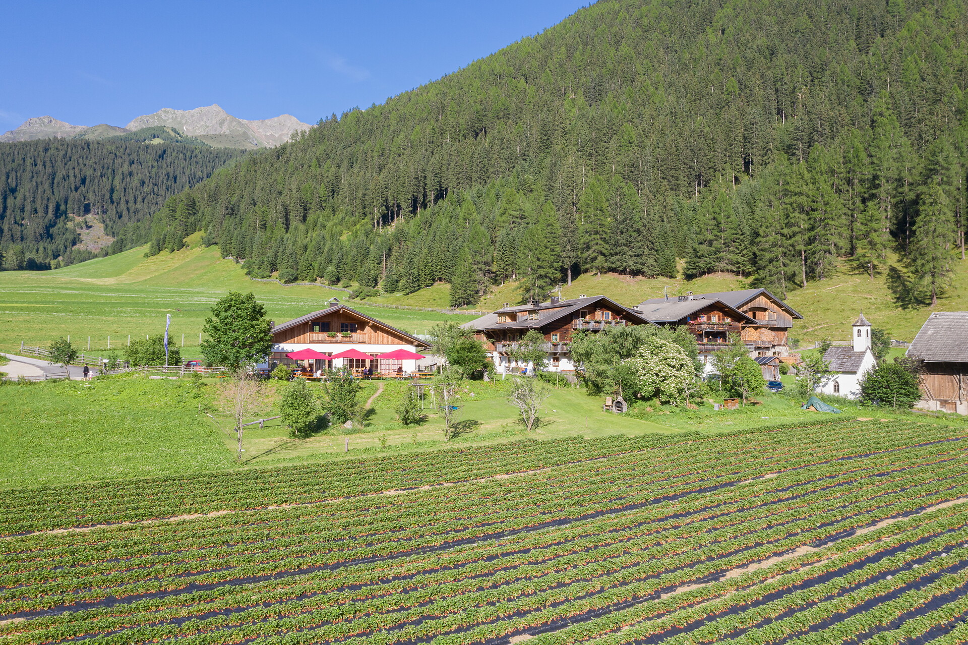 Jelerhof