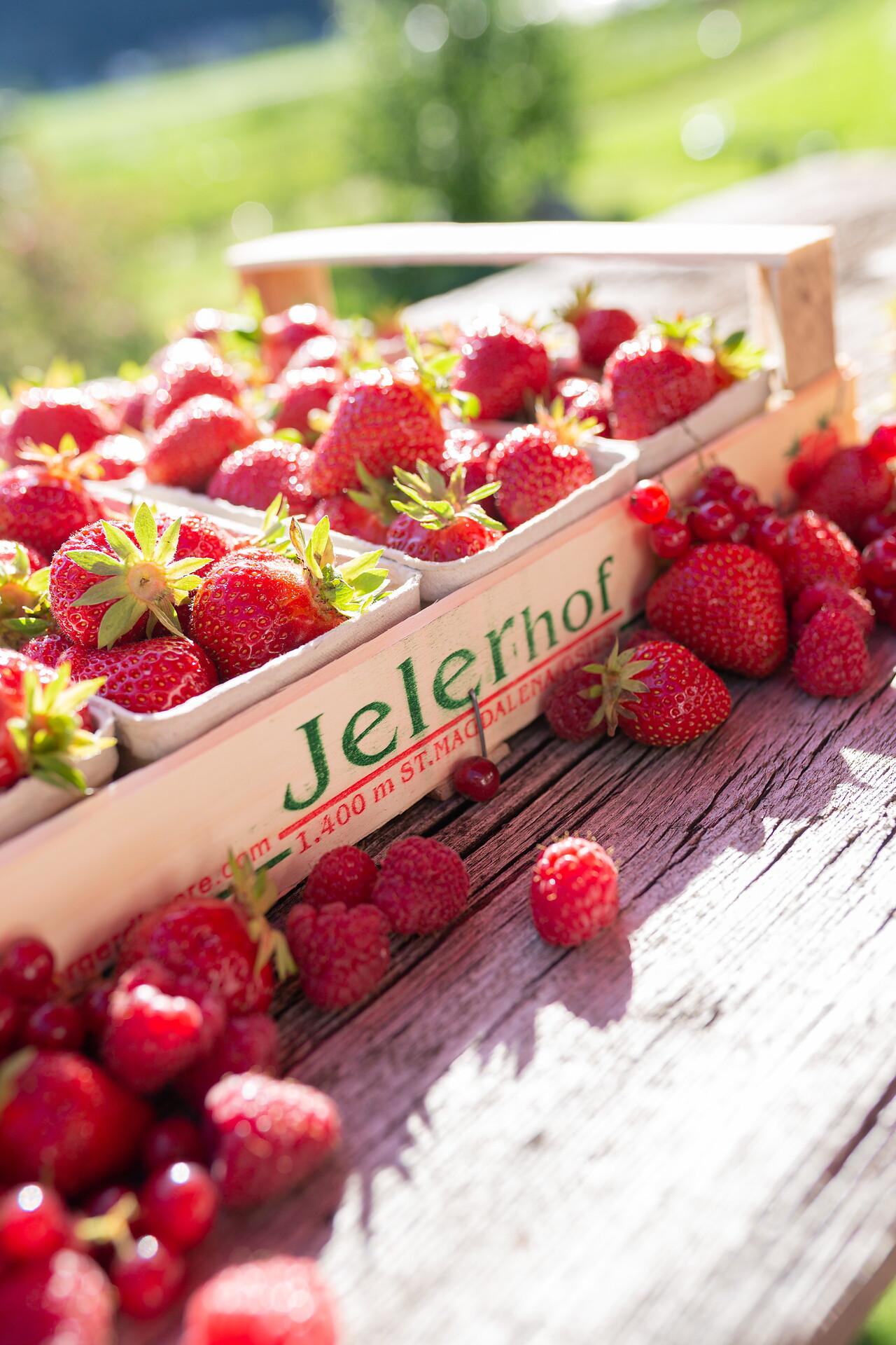 Fresh Strawberries