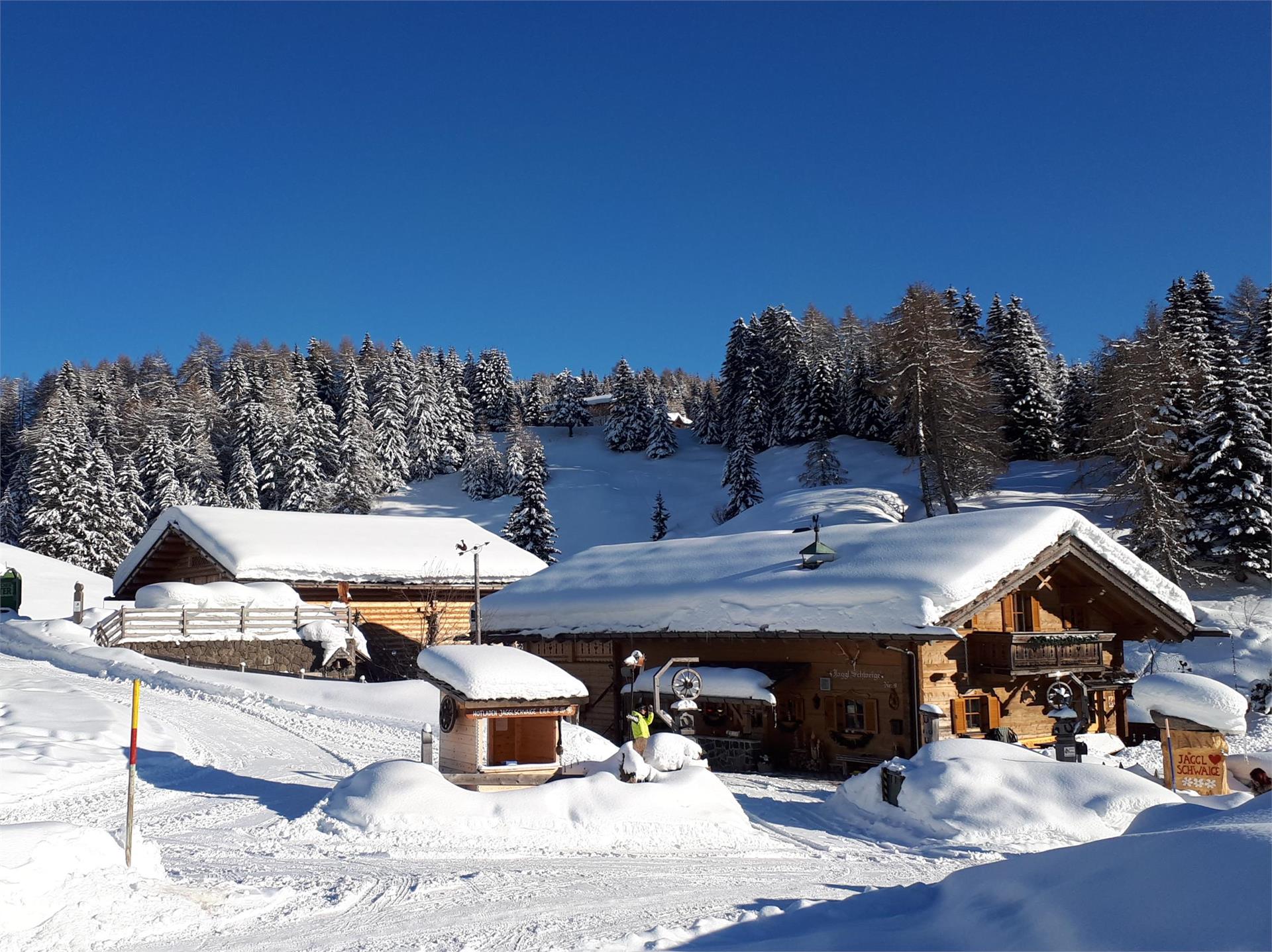 Malga Jaggl Castelrotto 2 suedtirol.info