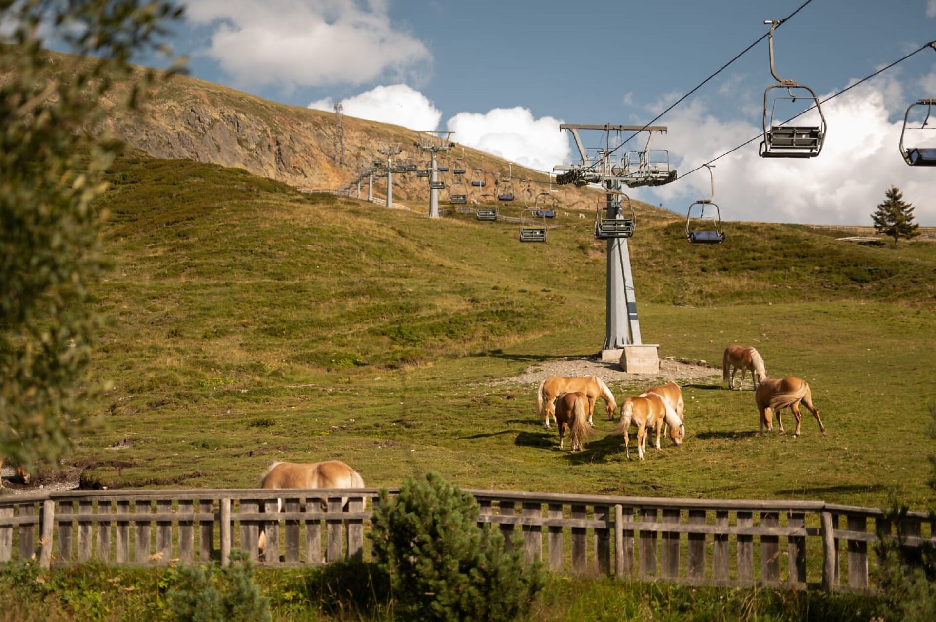 Kirchsteiger Alm