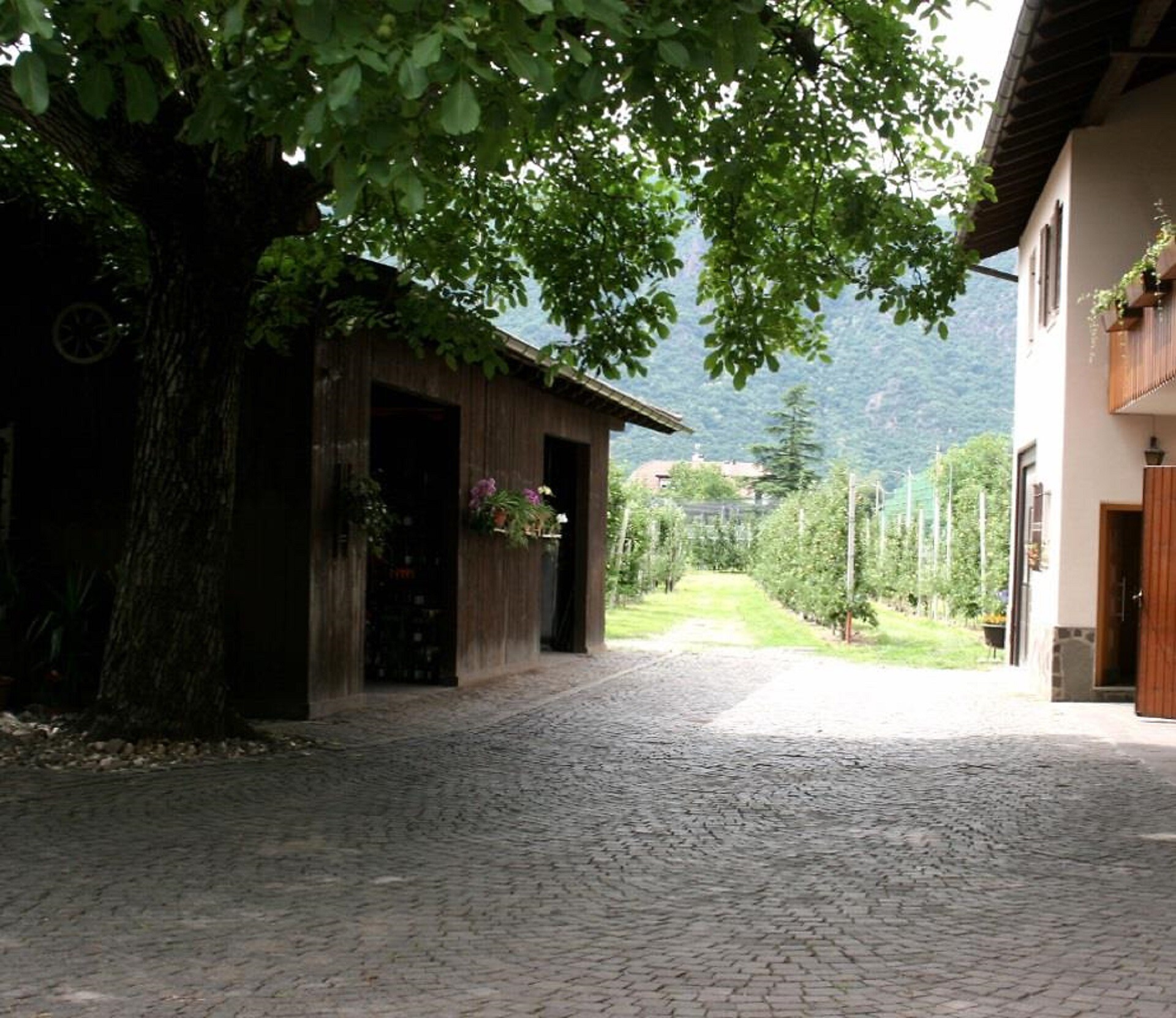 Entrance farm