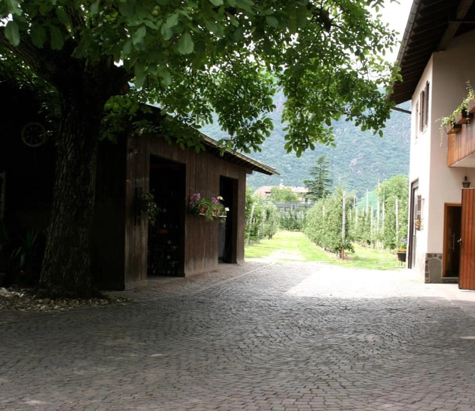 Slide 8