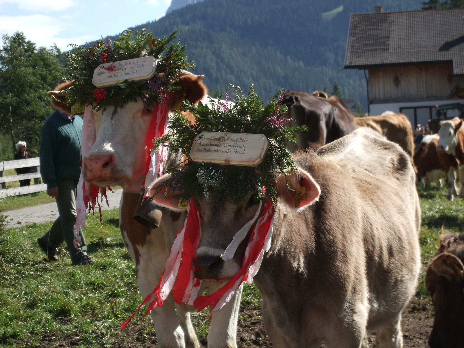 Almabtrieb