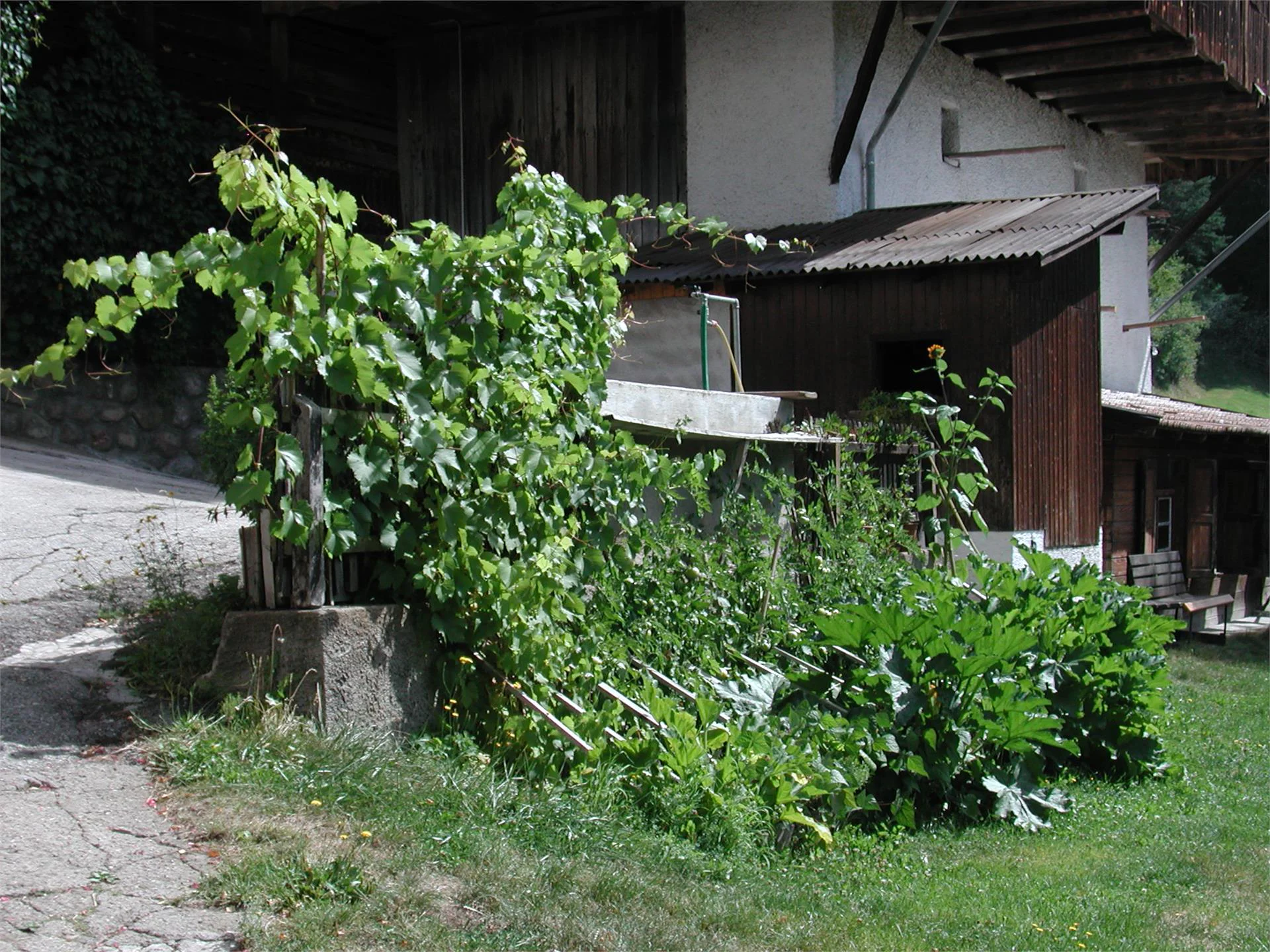 Kohlerhof Nova Levante 14 suedtirol.info