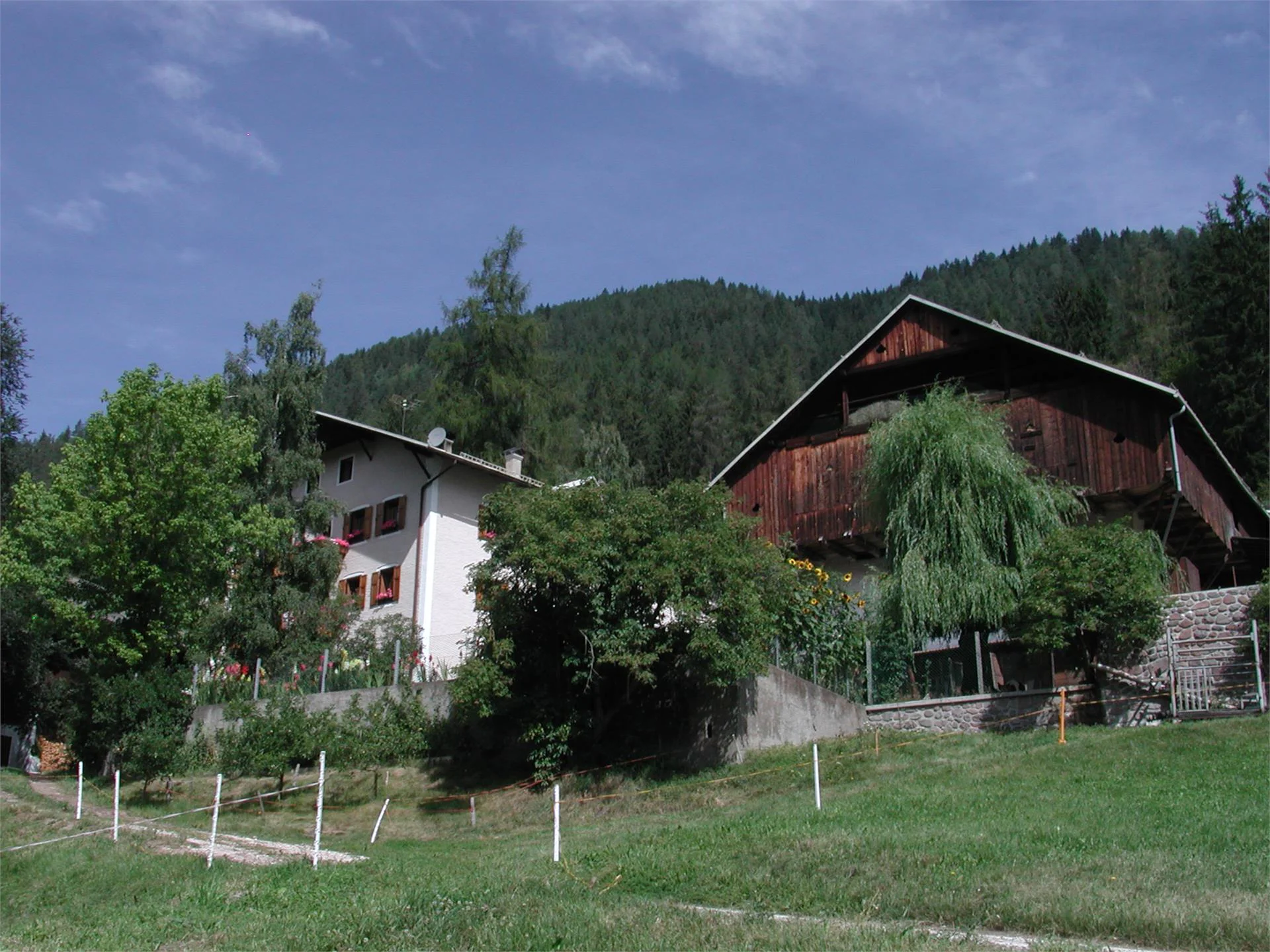 Kohlerhof Nova Levante 3 suedtirol.info