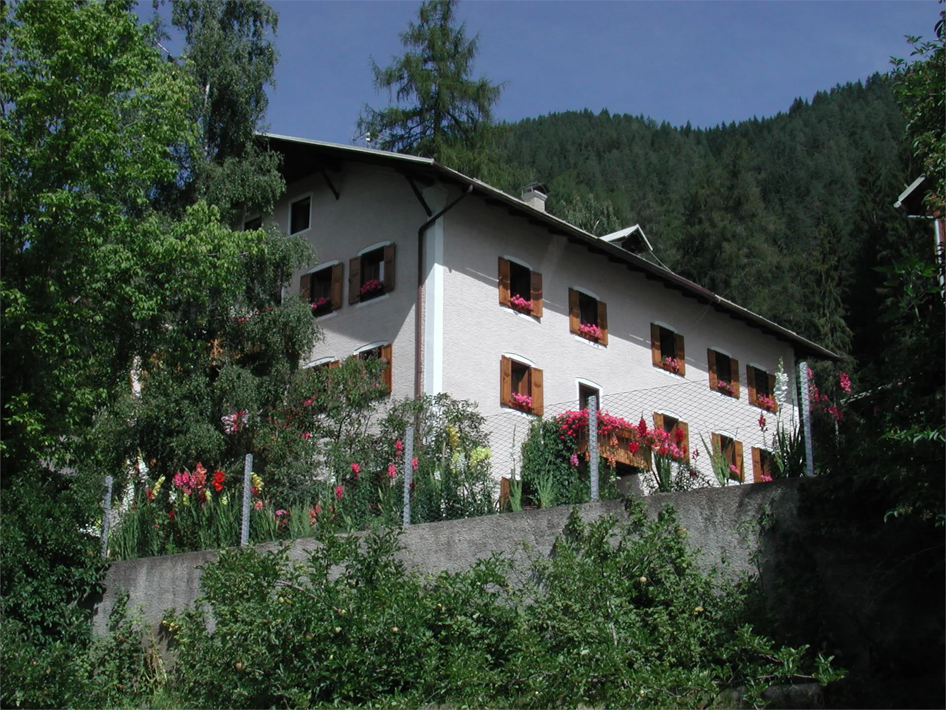 Kohlerhof Nova Levante 5 suedtirol.info