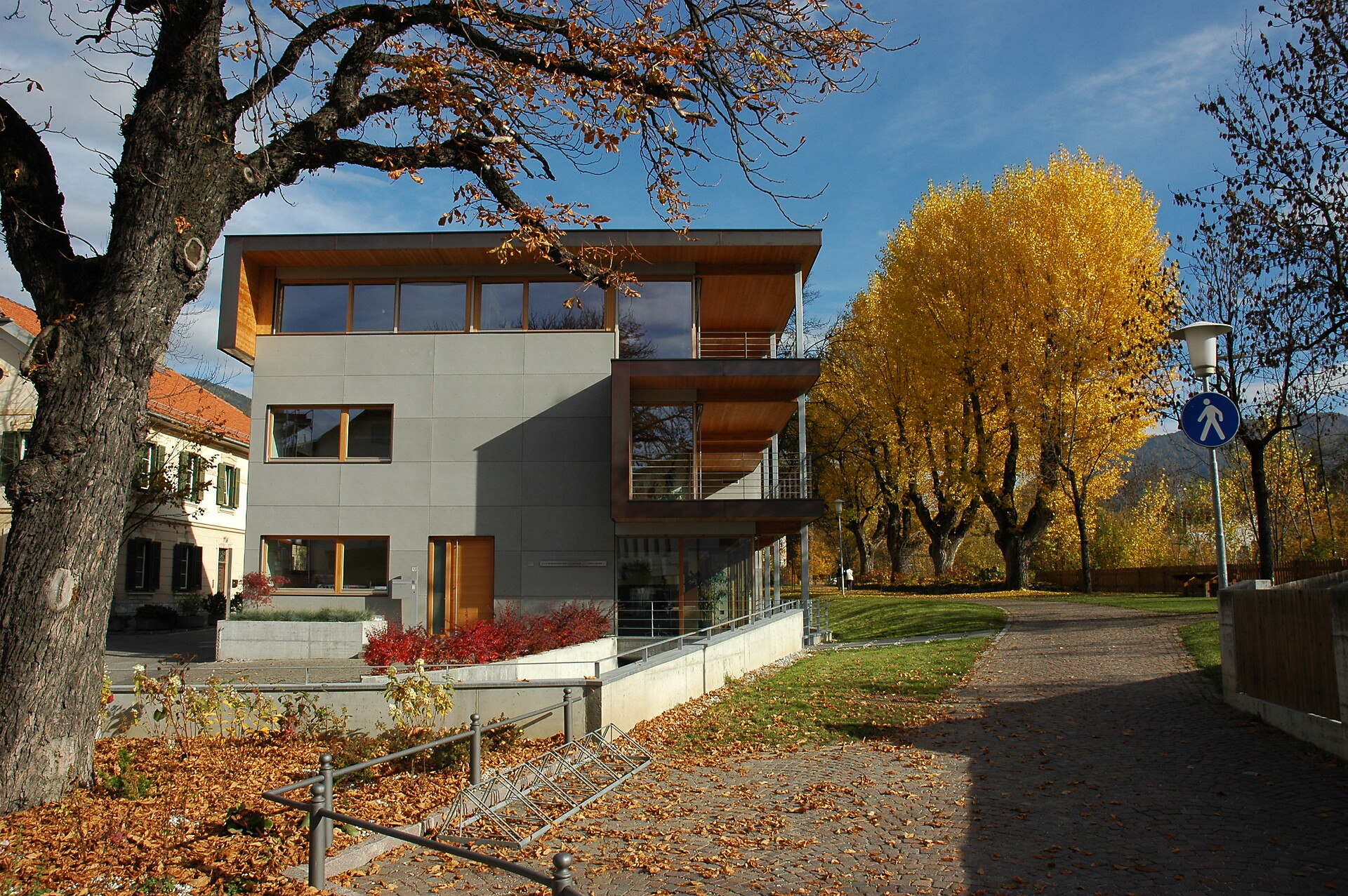 LOFT view west in autumn