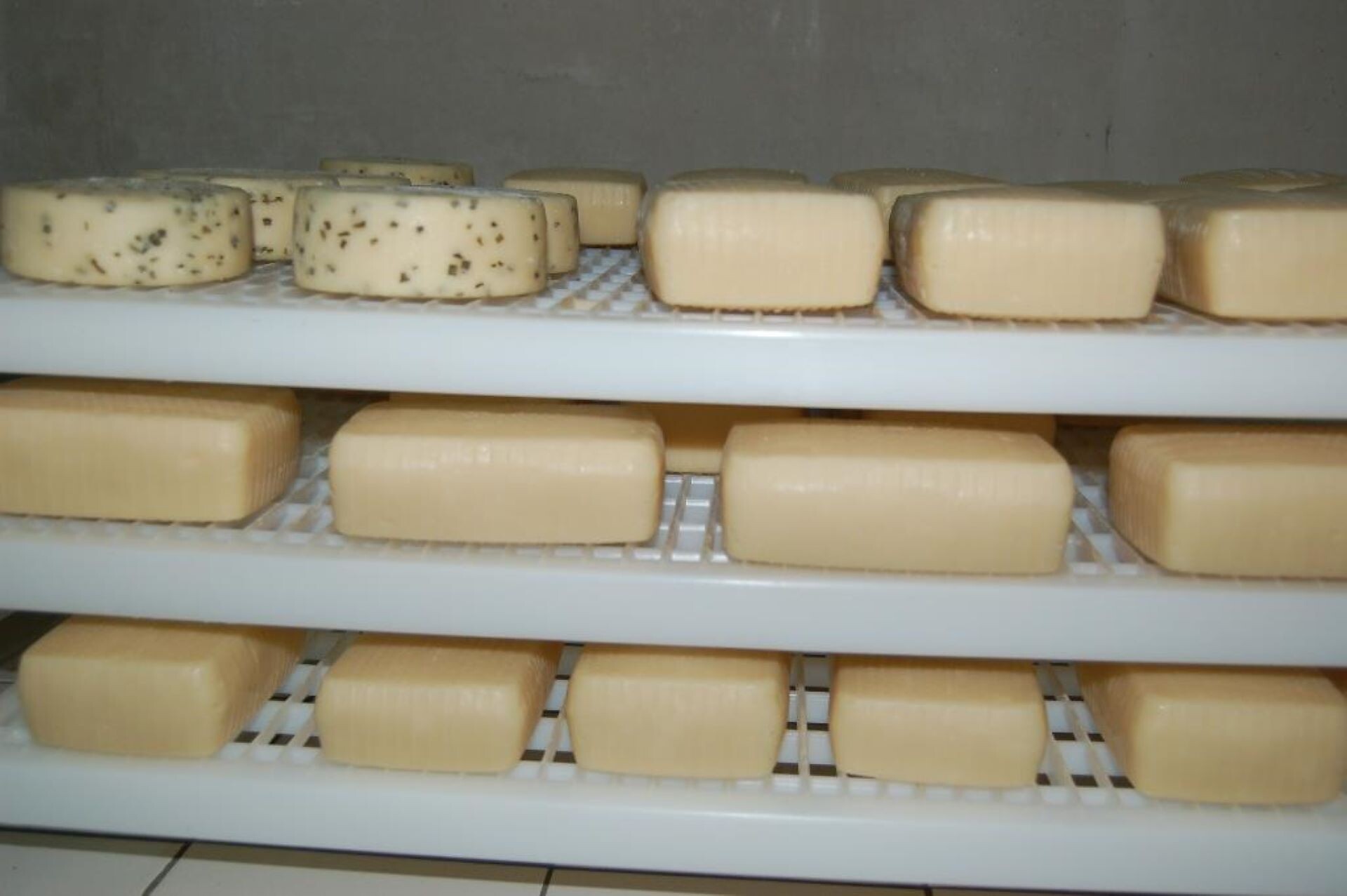 formaggio di capra