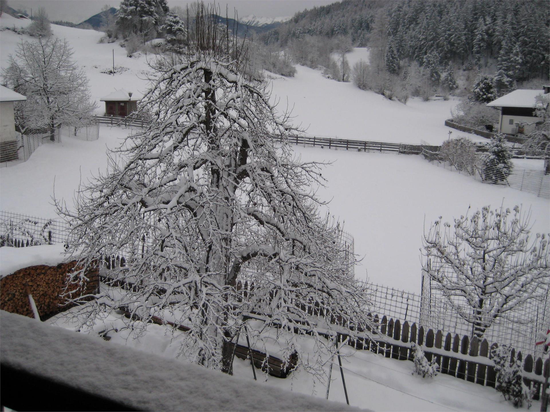 Krüglwirt St.Lorenzen 18 suedtirol.info