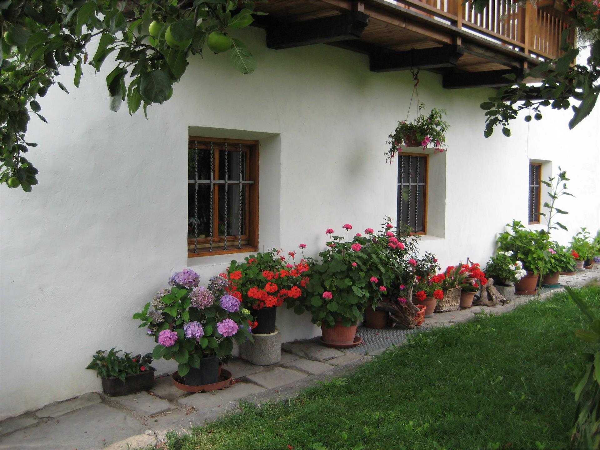 Krüglwirt St.Lorenzen 4 suedtirol.info