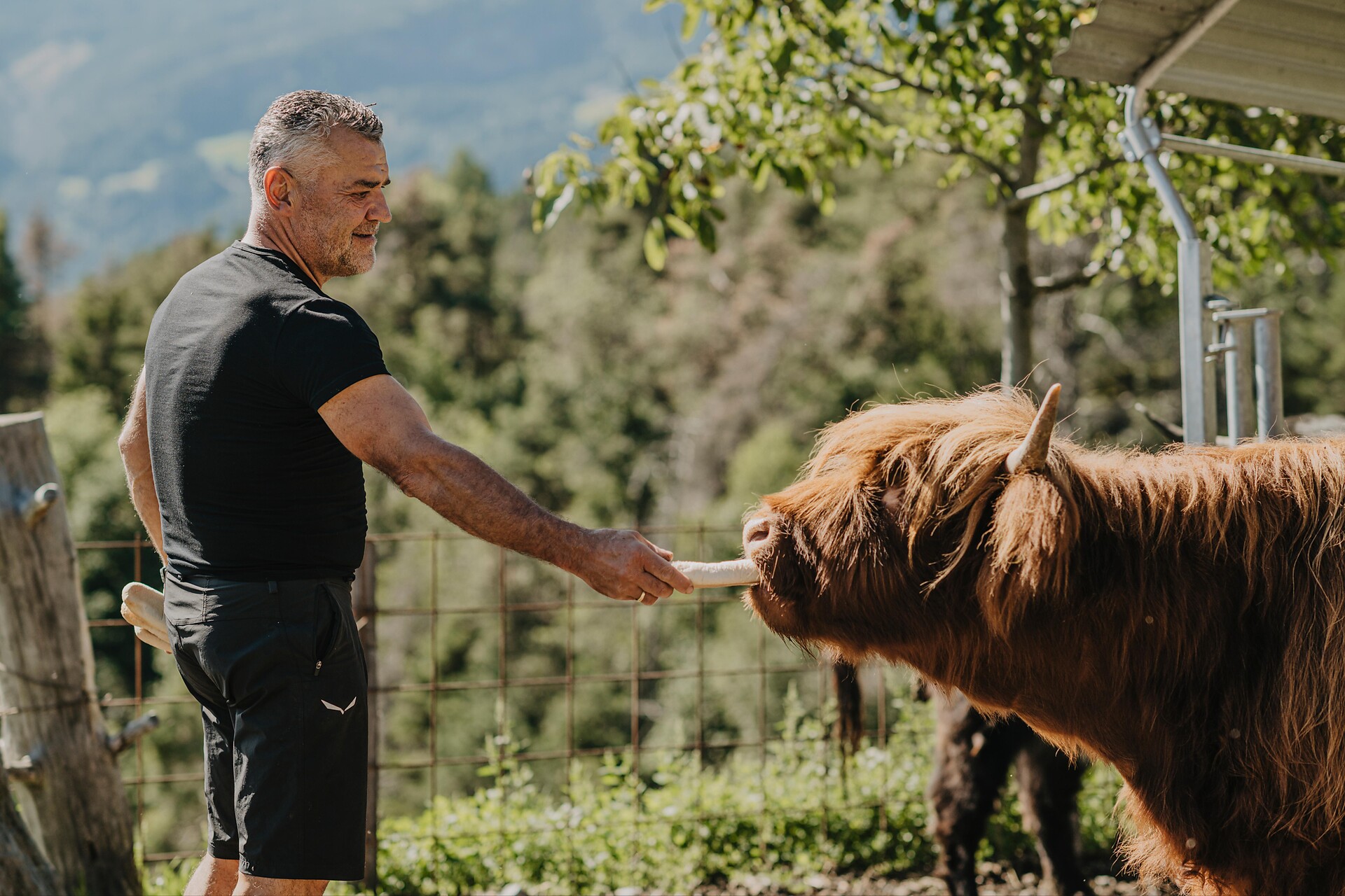 Kirchwieserhof Naturchalet – Adults Only -  - #21 - suedtirol.info