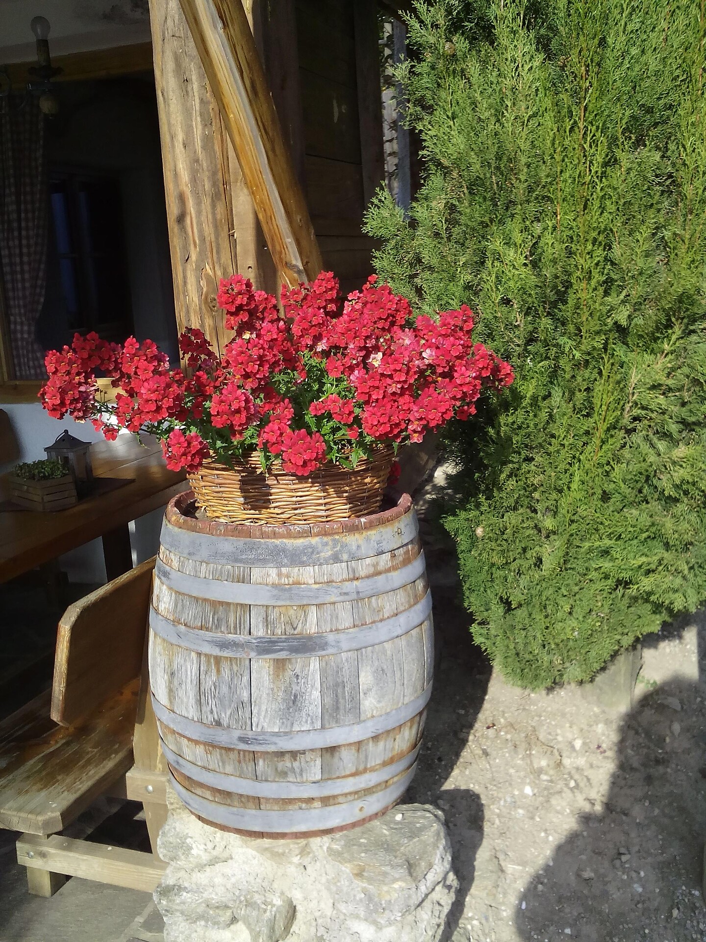 Flower1
