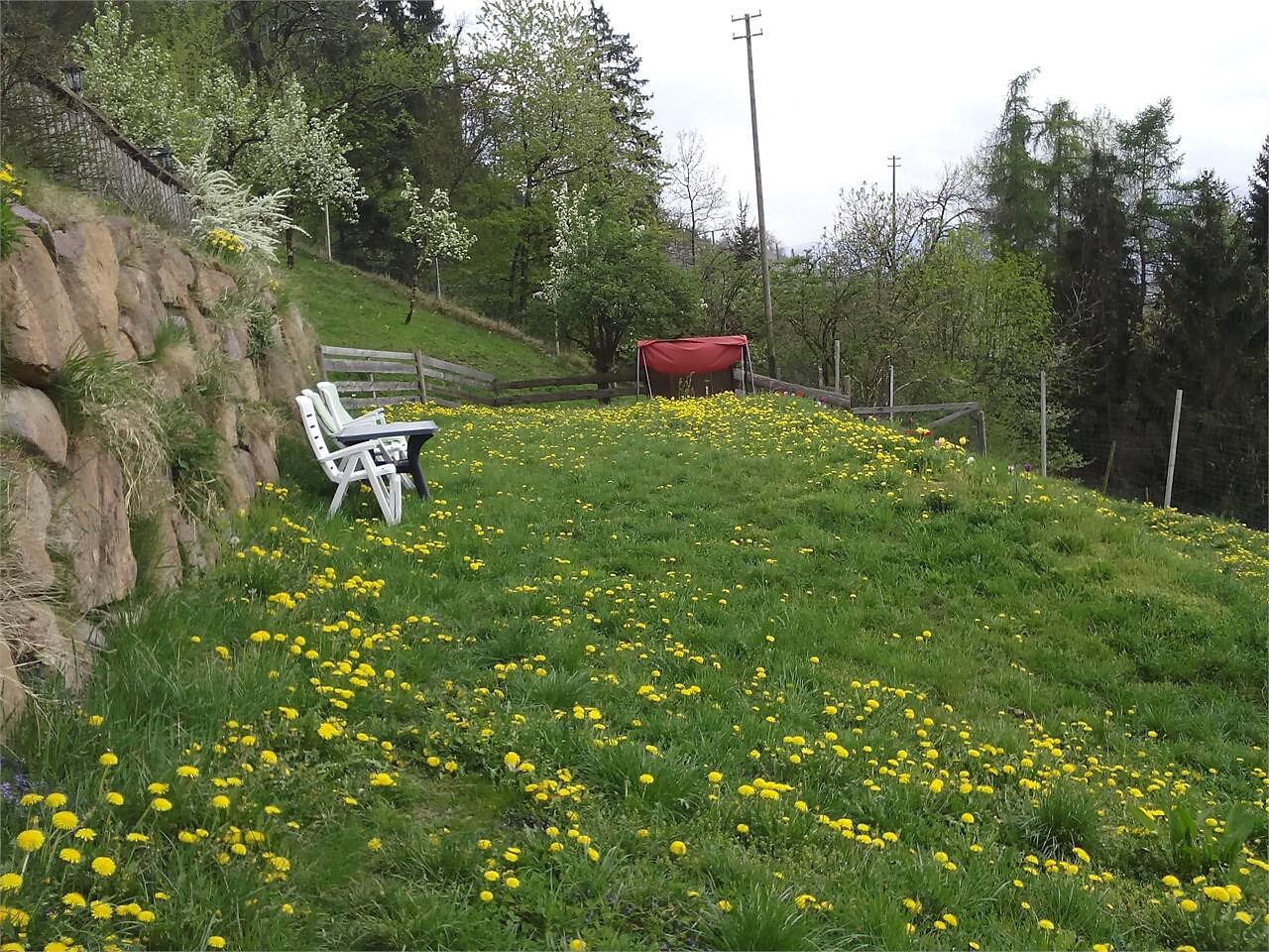 Lawn1