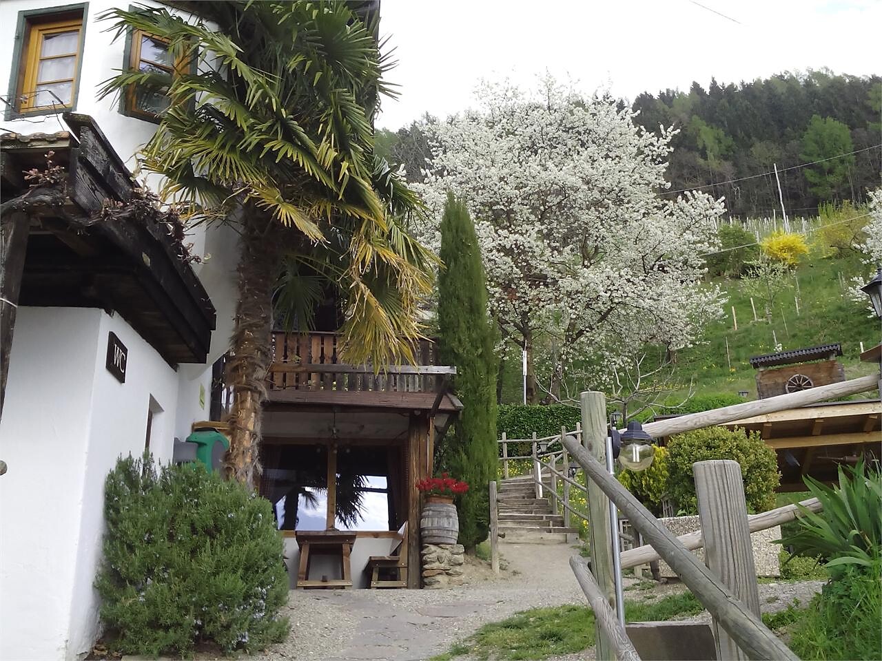 Garden2