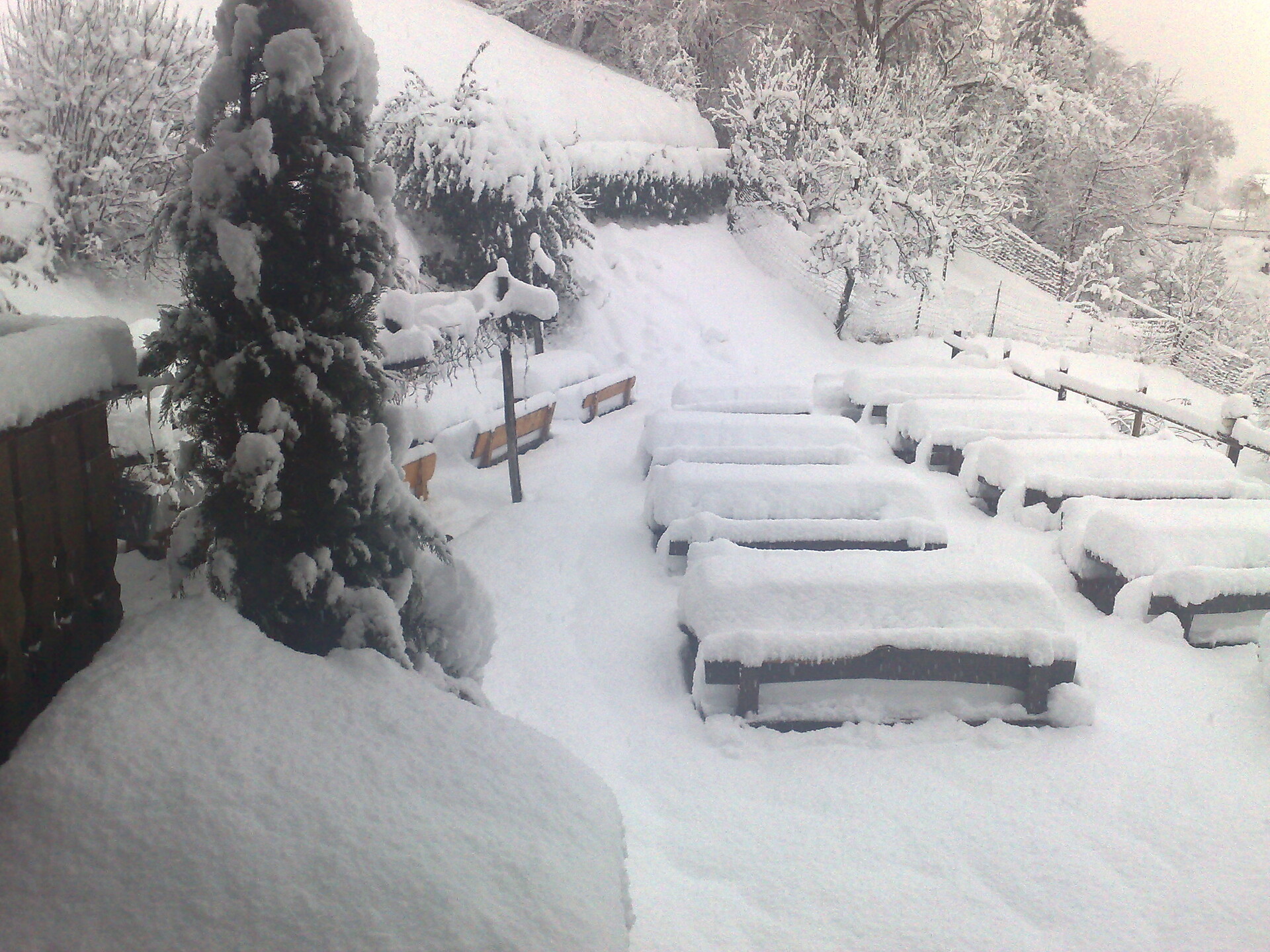 Winter