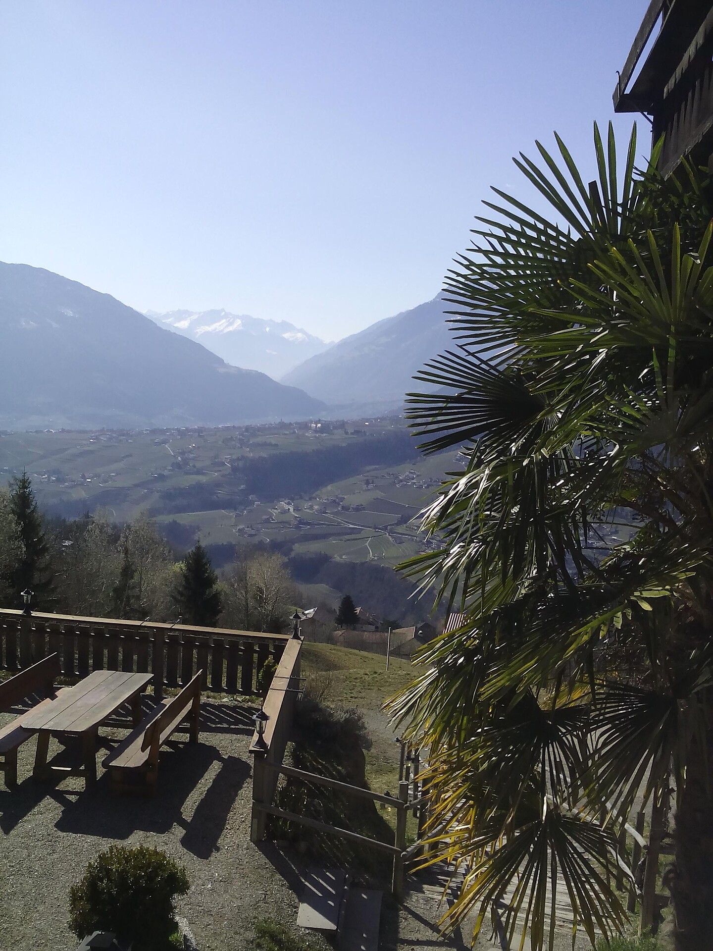 View1