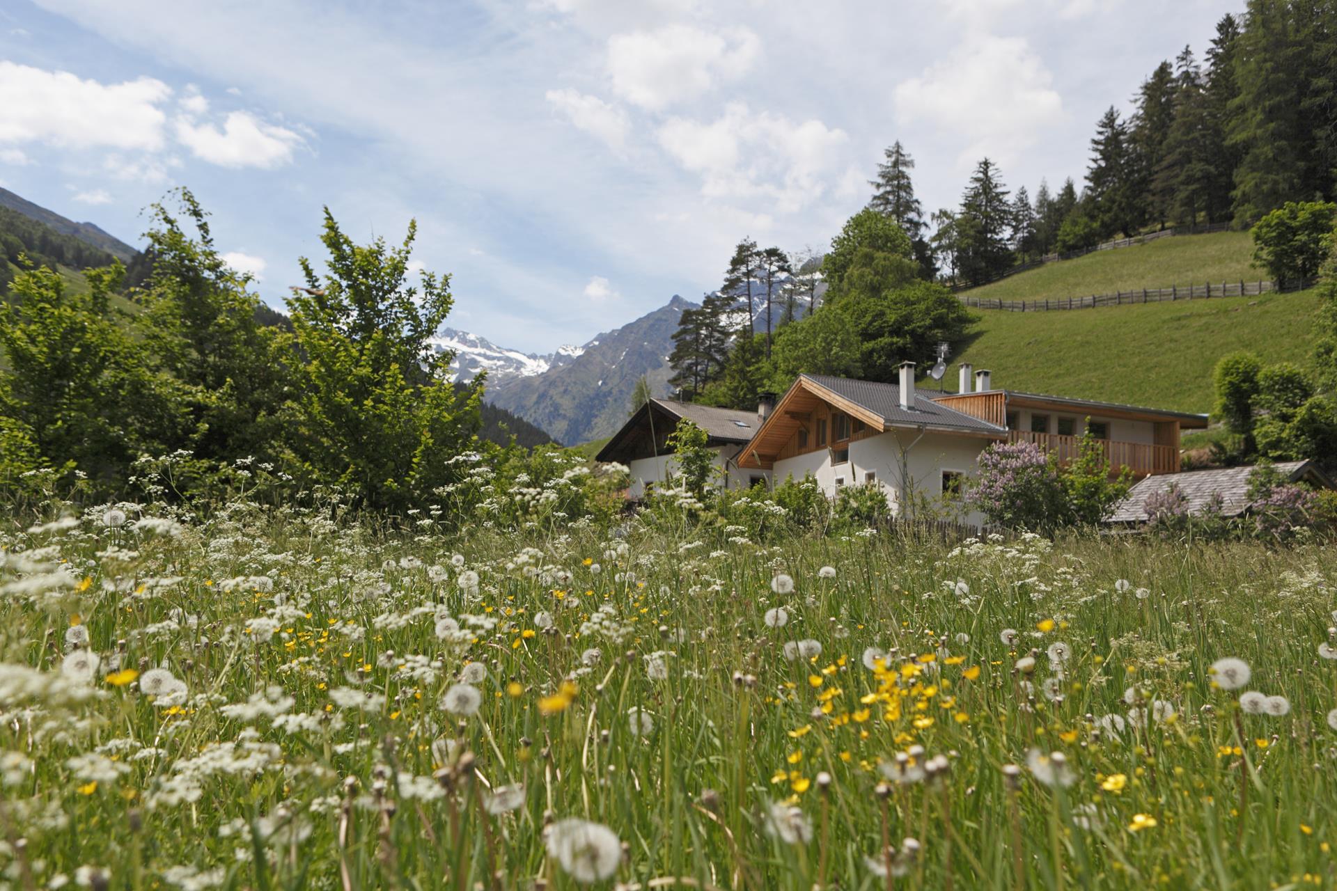 Botenhof Brenner 1 suedtirol.info