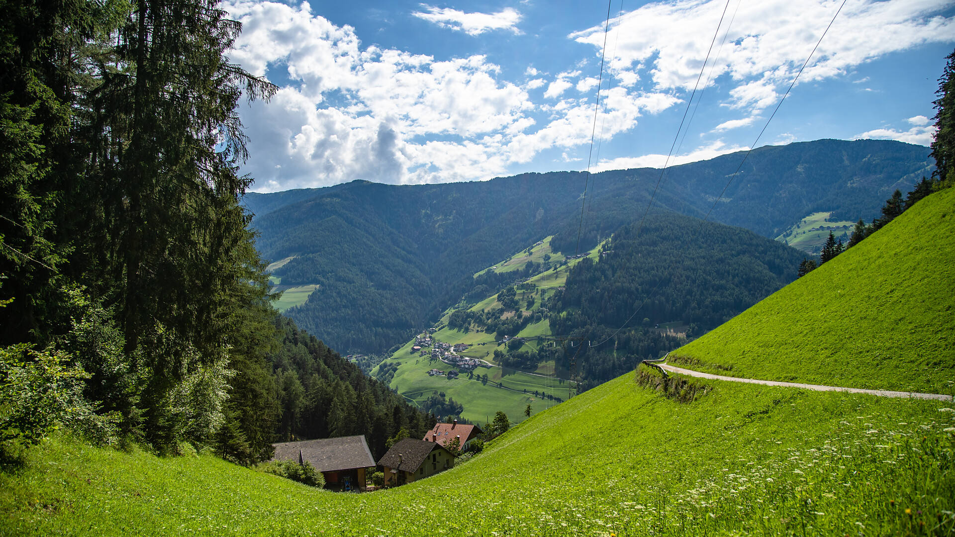 Krinnerhof