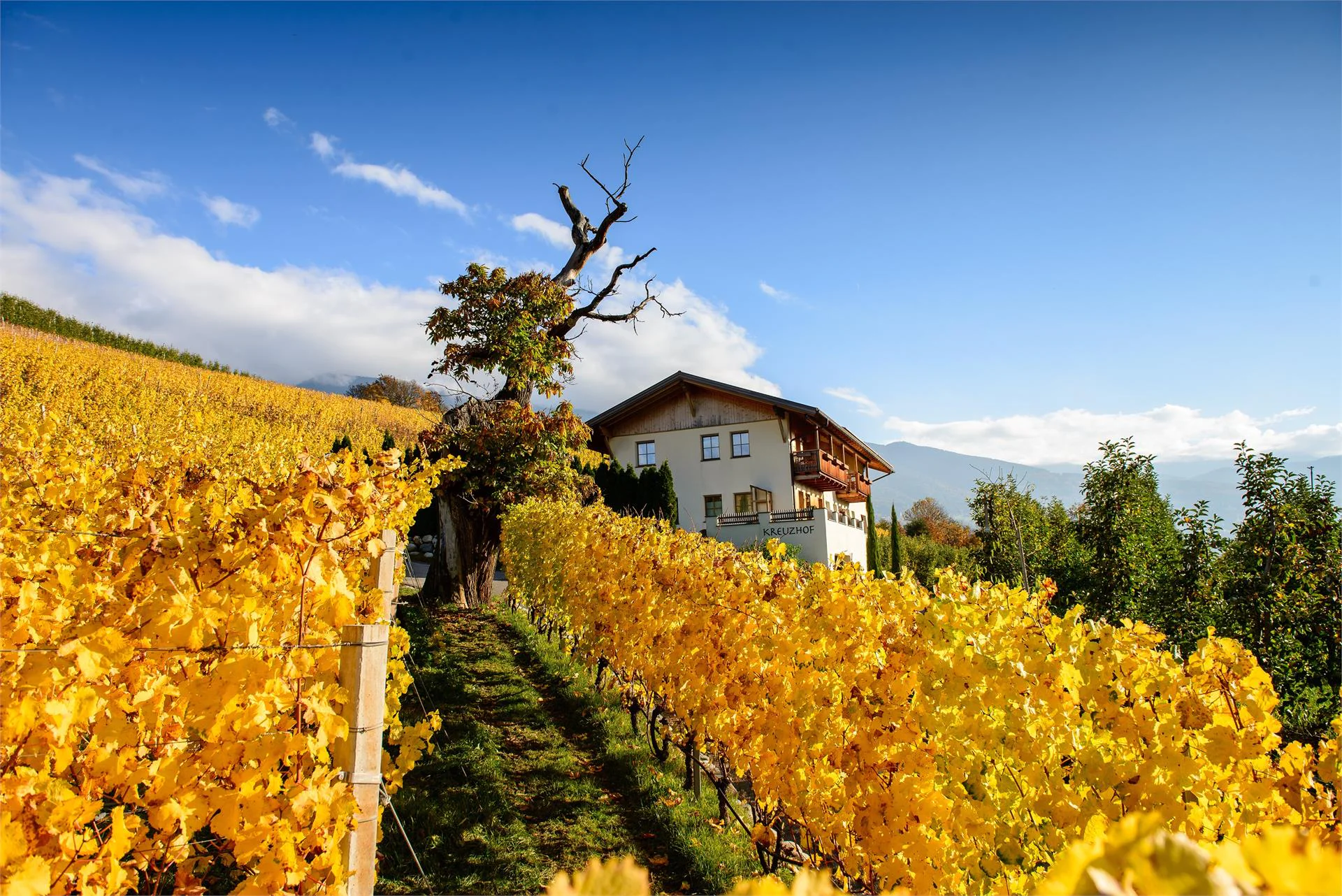 Kreuzhof Vahrn/Varna 3 suedtirol.info