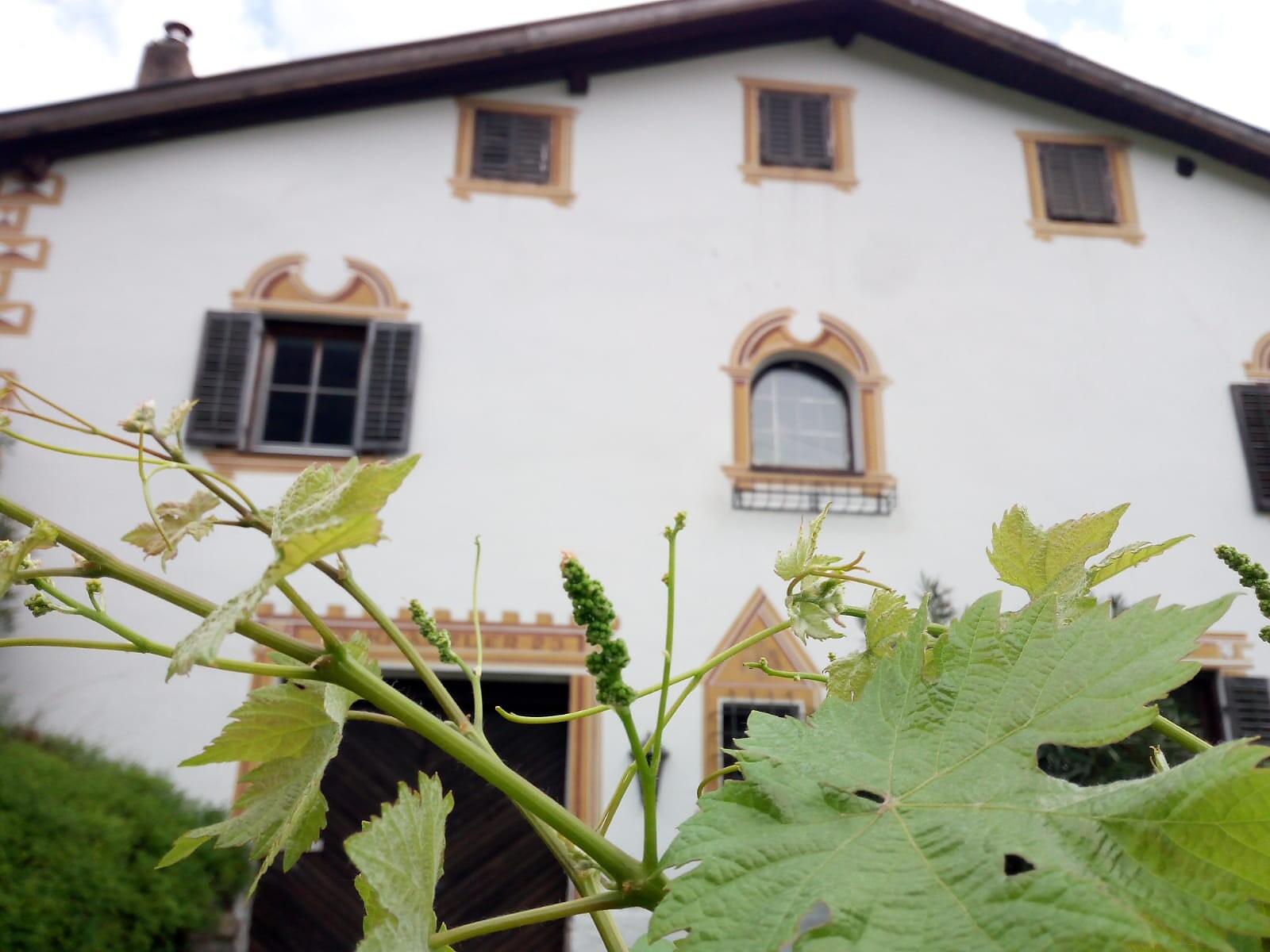 Kränzler Meran/Merano 2 suedtirol.info