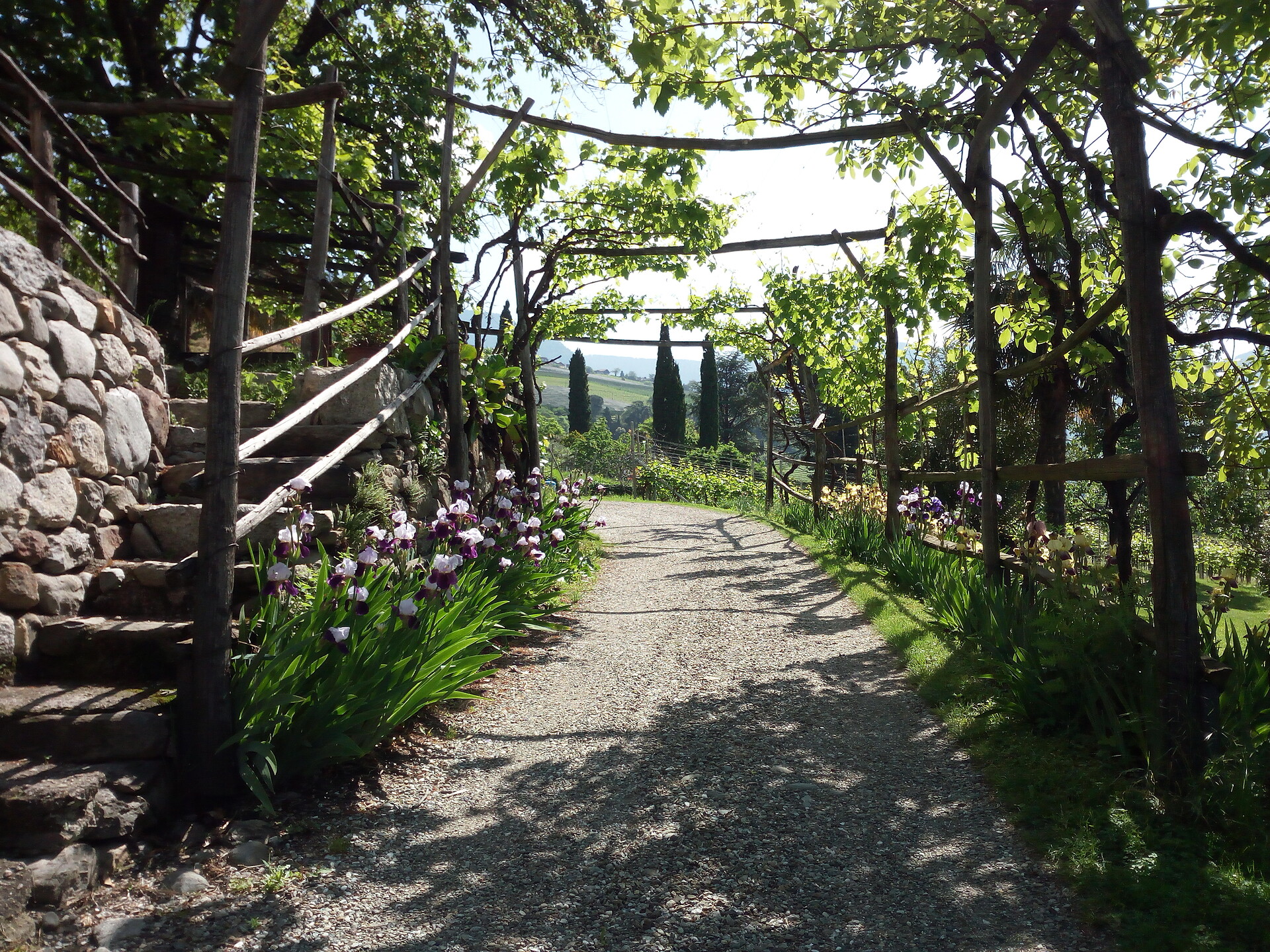 Kränzler Meran/Merano 13 suedtirol.info