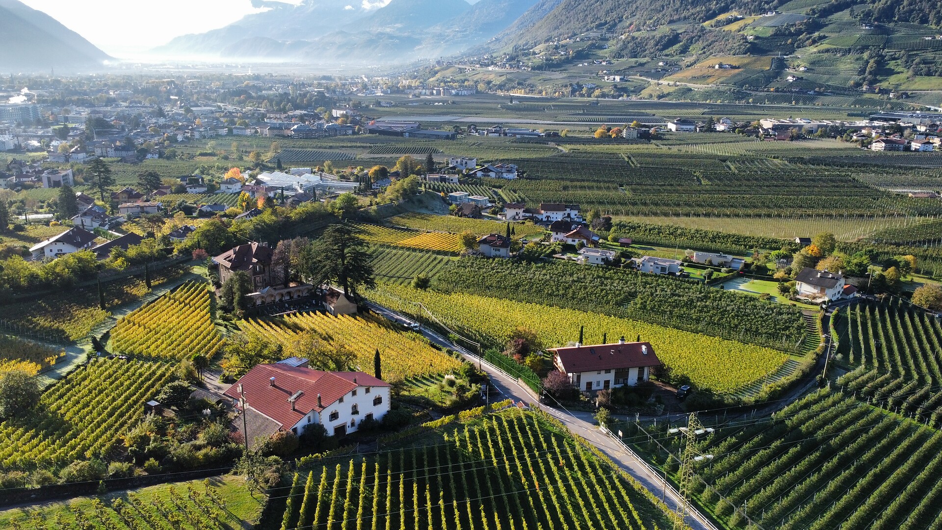 Kränzler - Merano e dintorni - #4 - suedtirol.info