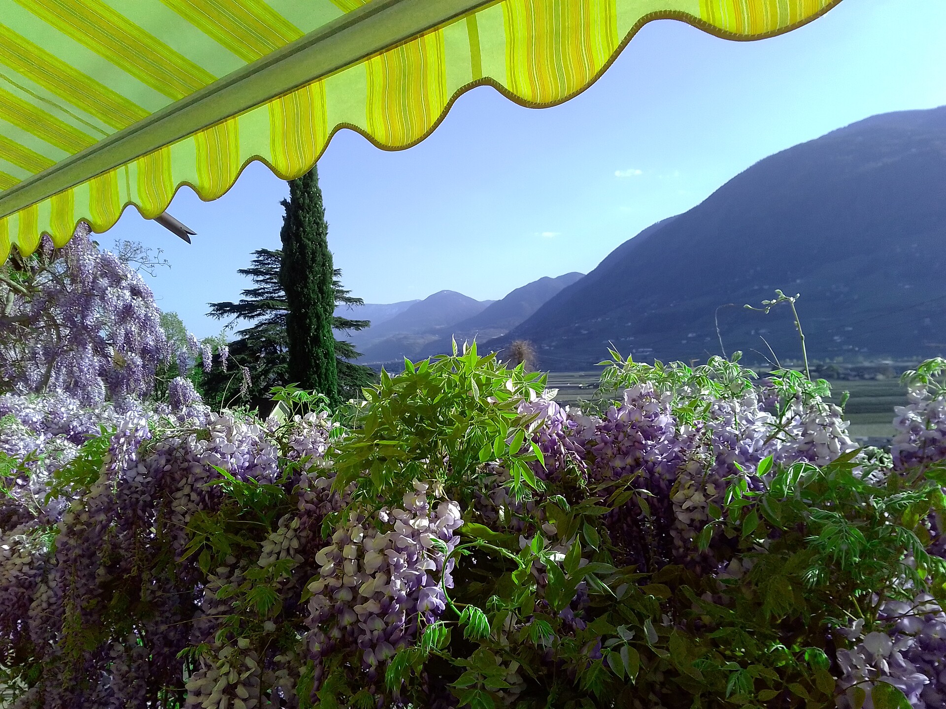 Kränzler Meran/Merano 10 suedtirol.info