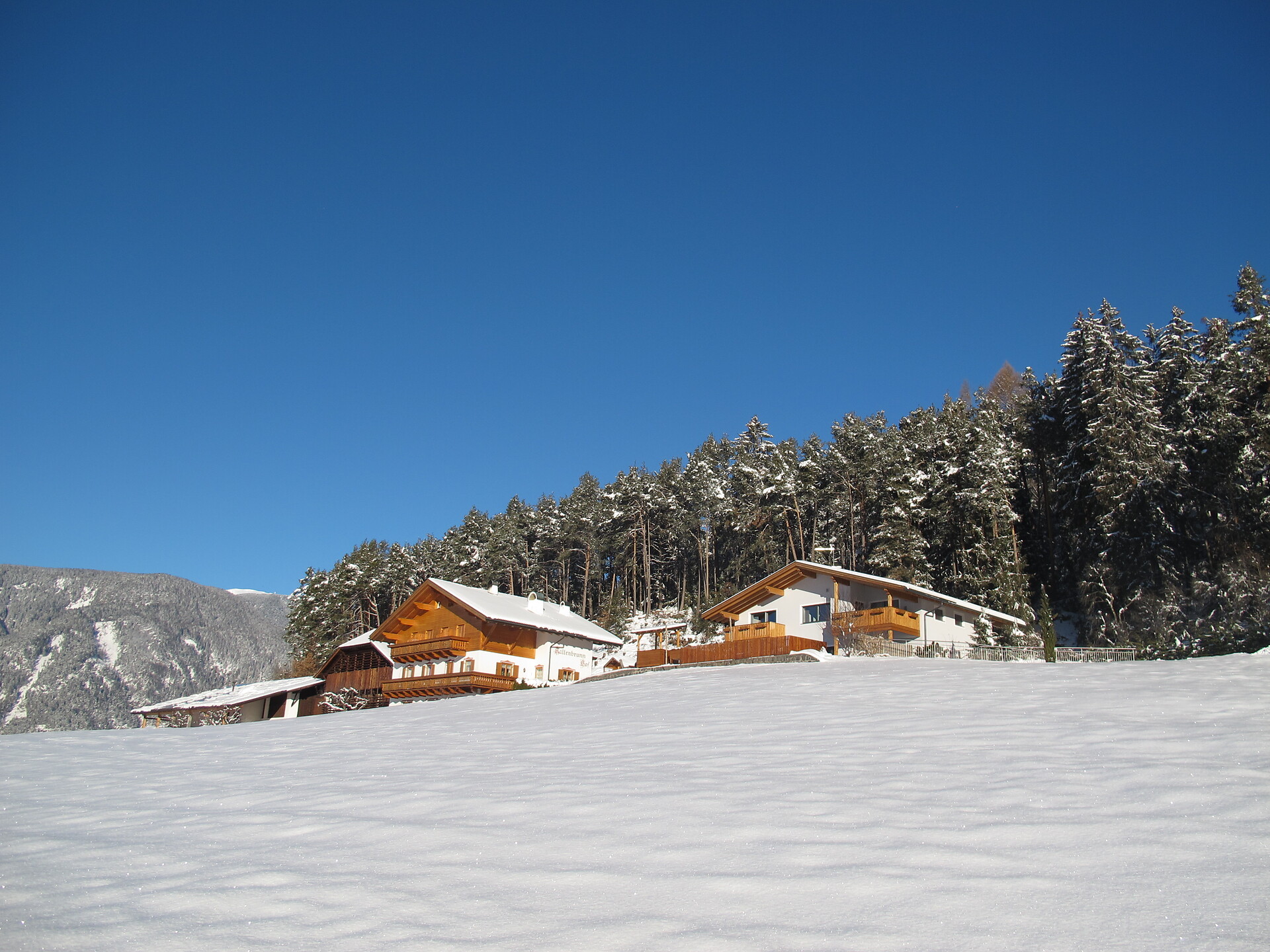 Winter