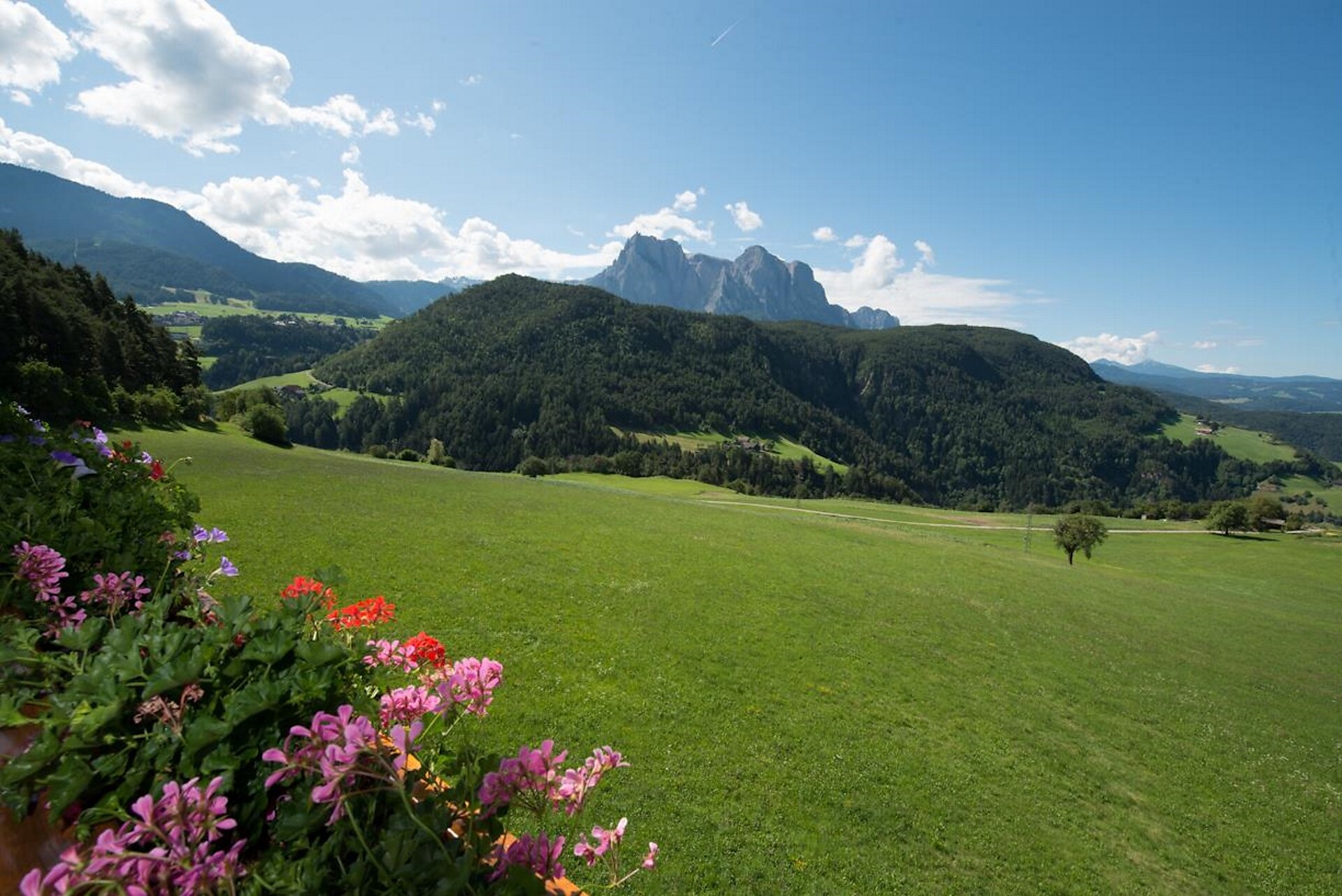 Panorama