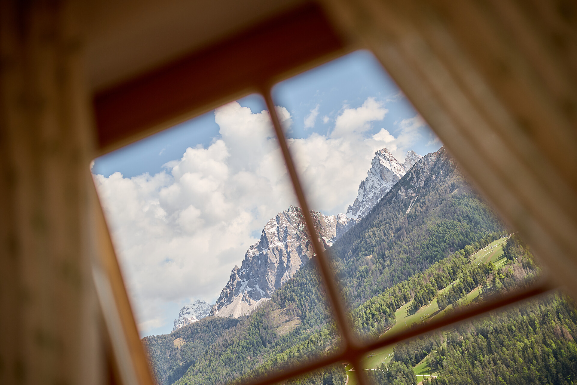 Vista