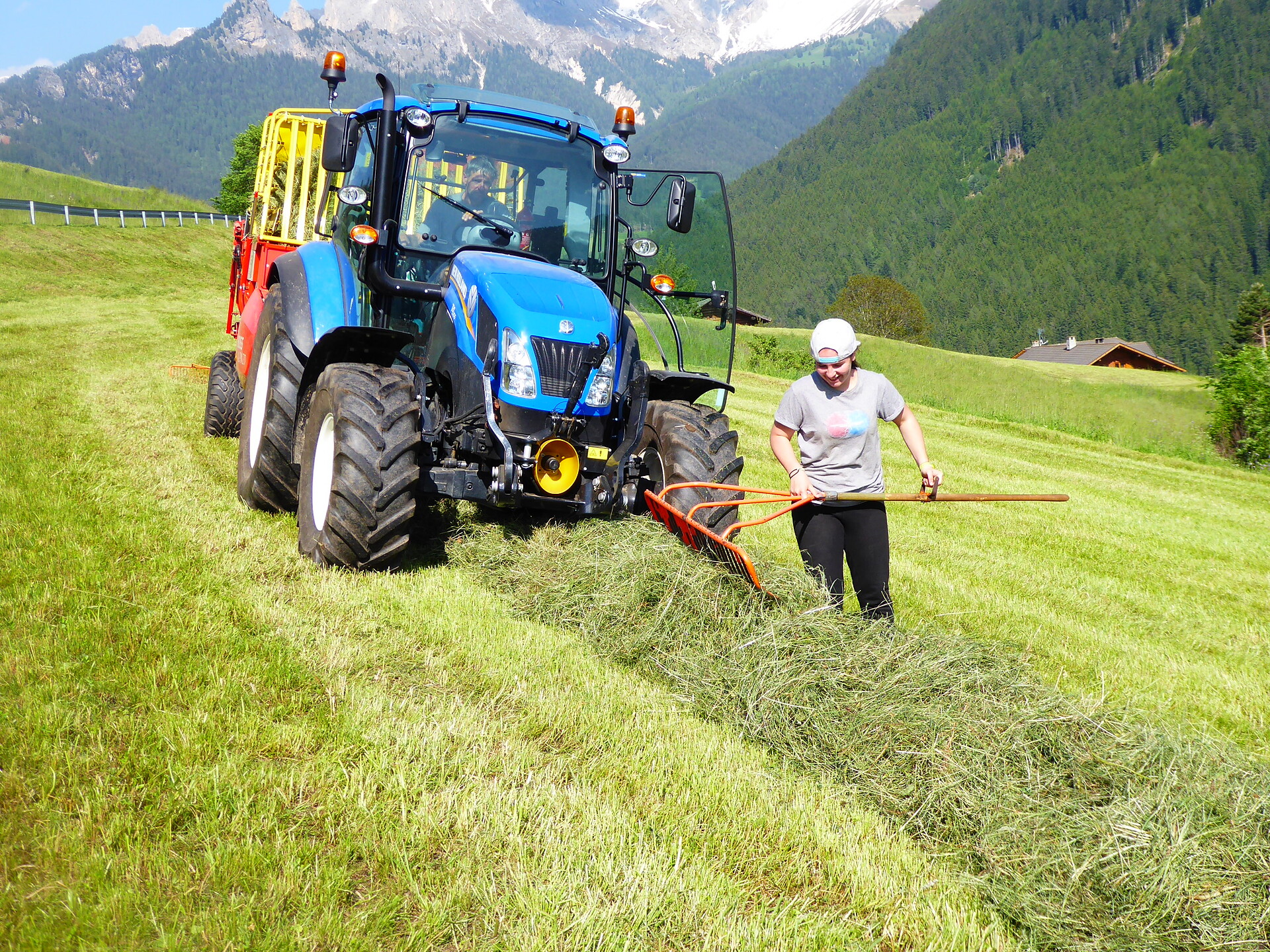 Lavorare il fieno